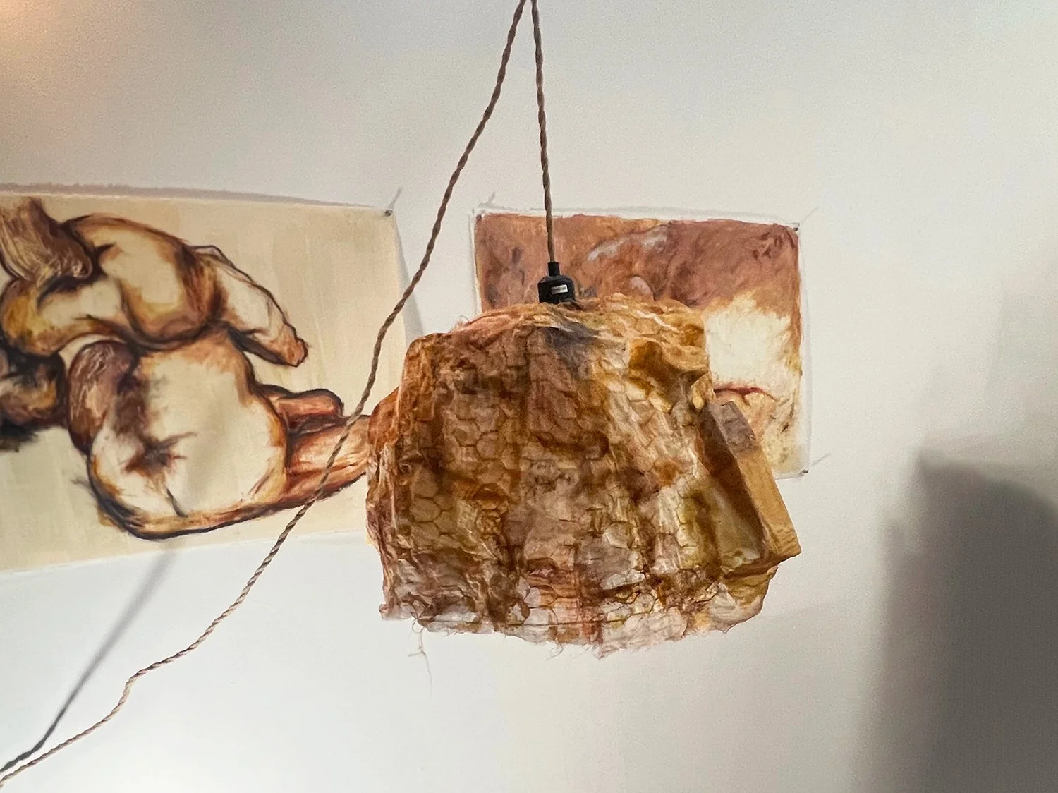 Artistic hanging light sculpture(turned off), organic form in foam, wire, and silk fabric. Contemporary lighting design by Frankie Holt.
"Hanging Light | ONE"
$2,000