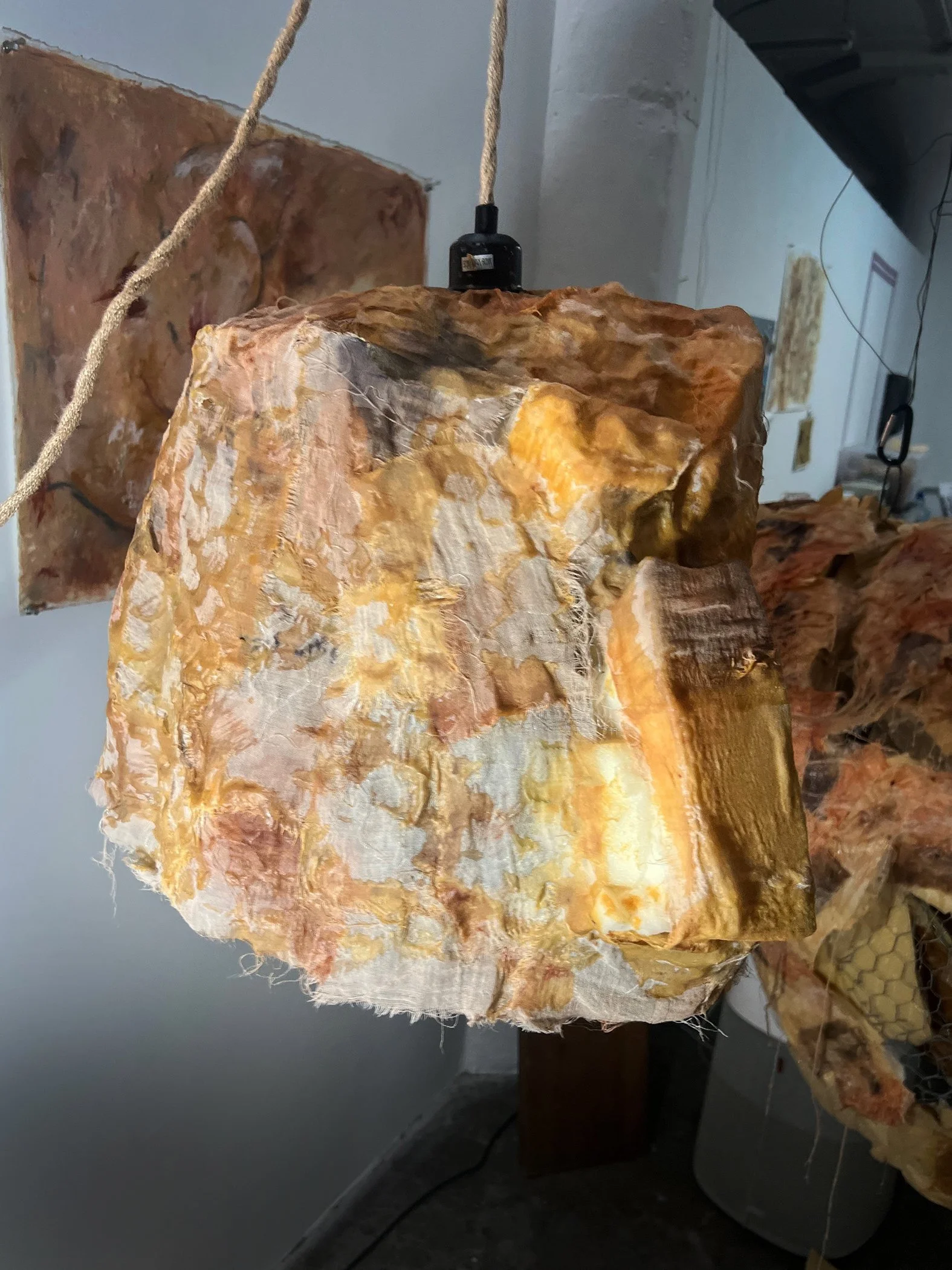 Artistic hanging light sculpture (detail), organic form in foam, wire, and silk fabric. Contemporary lighting design by Frankie Holt.
"Hanging Light | ONE"
$2,000