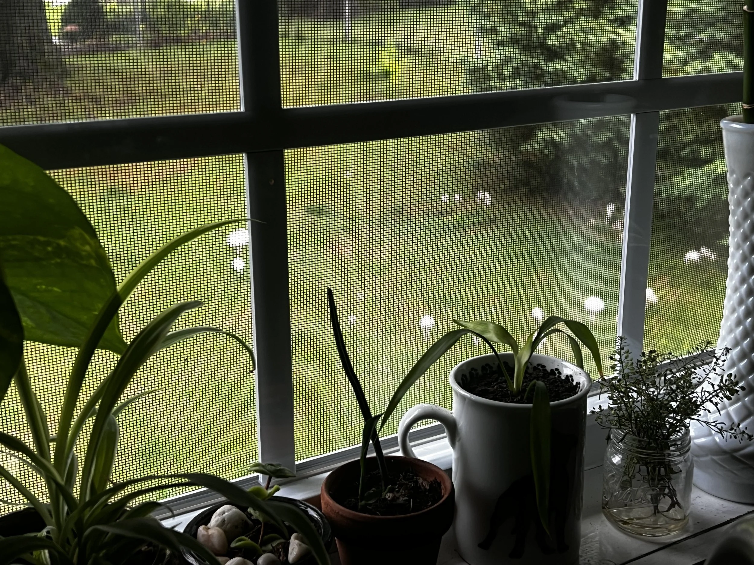 Biophilic Design Consulting