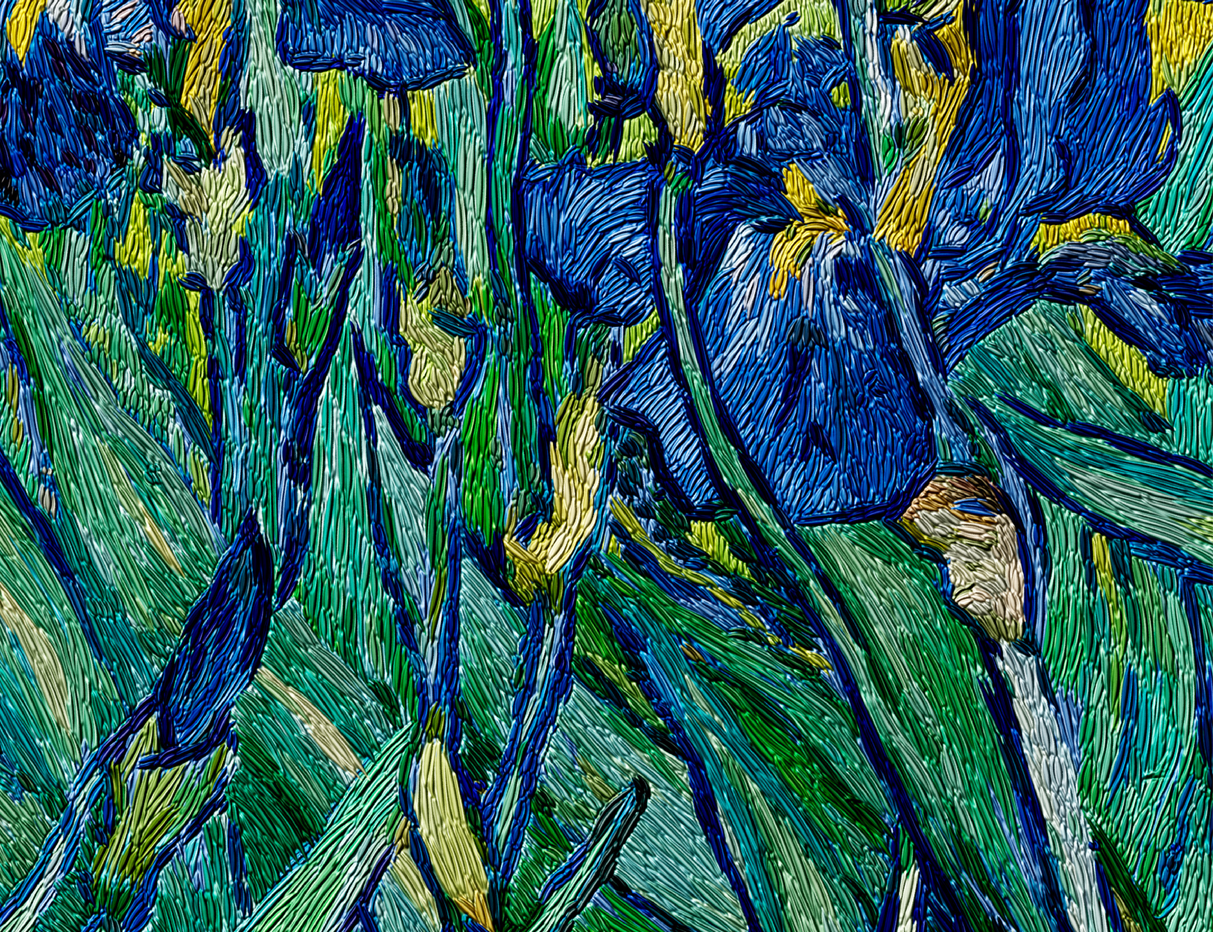 Irises-03.png