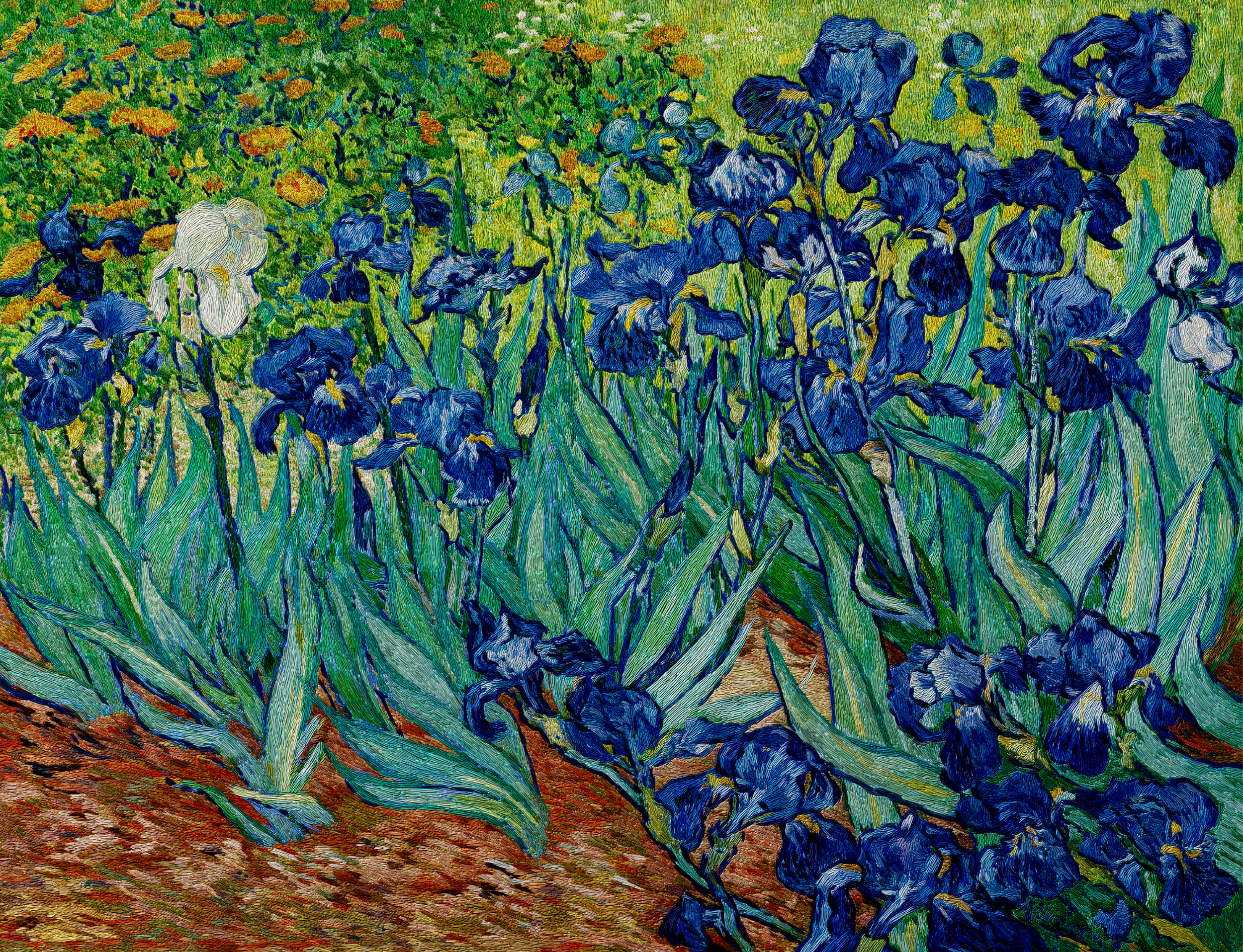 Irises-01.png