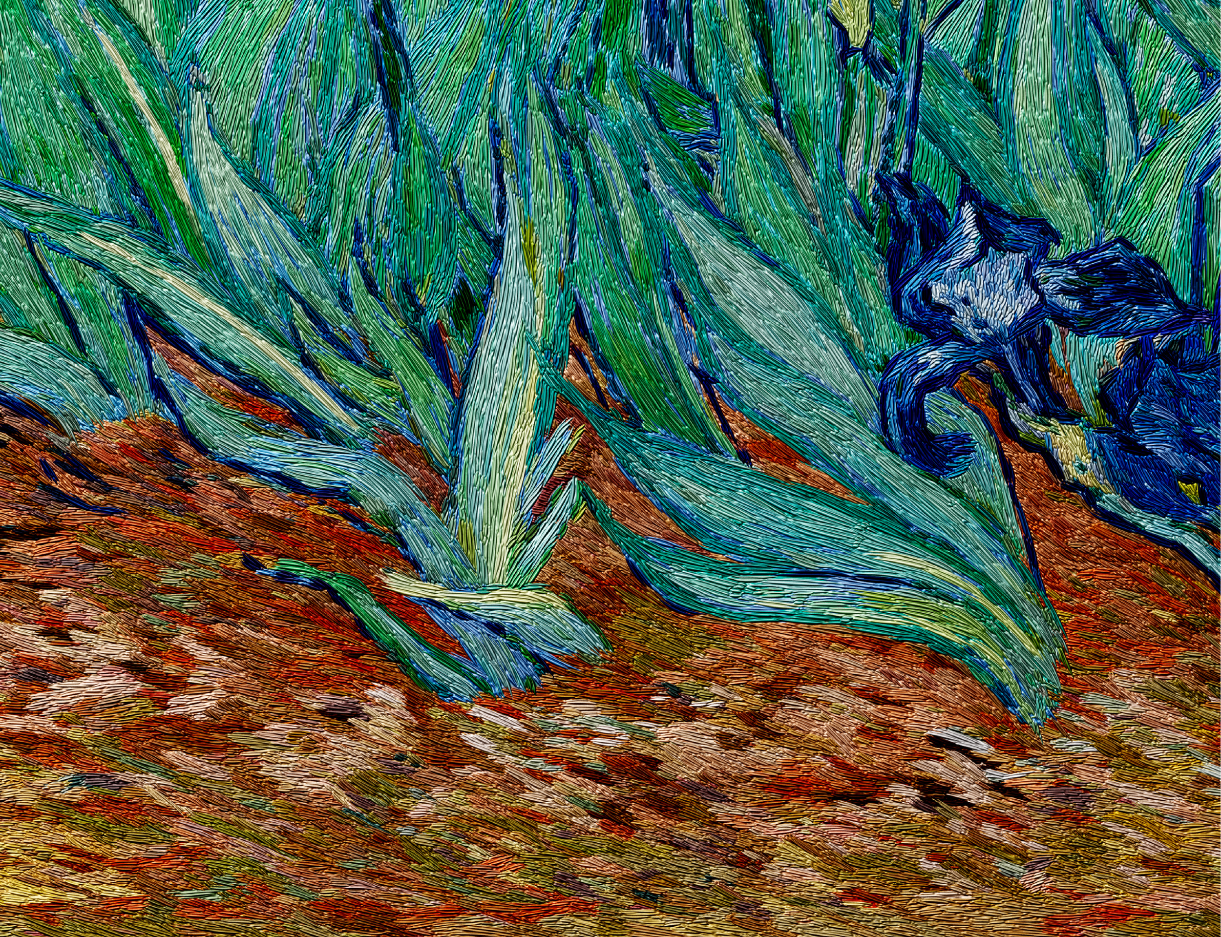 Irises-04.png