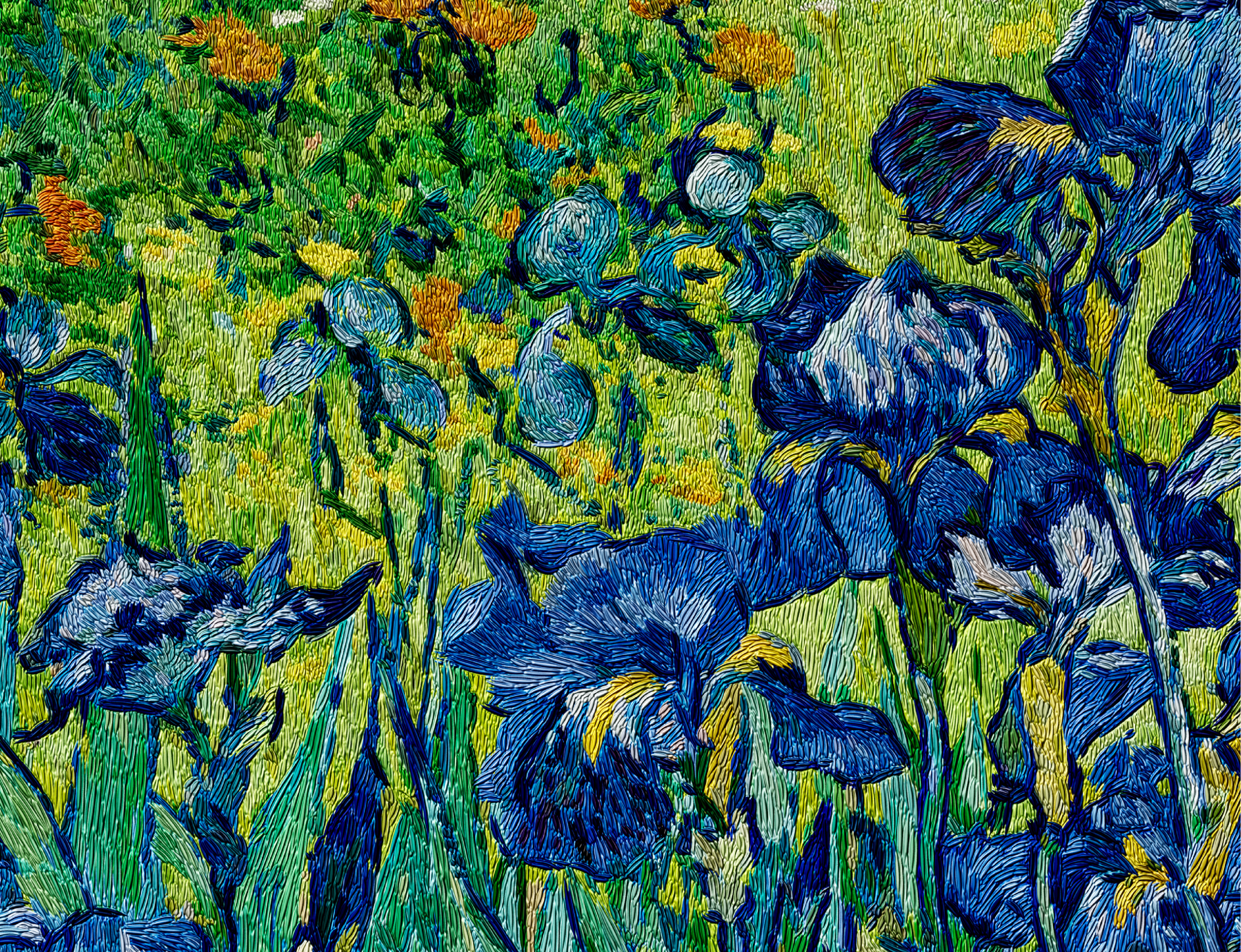 Irises-02.png