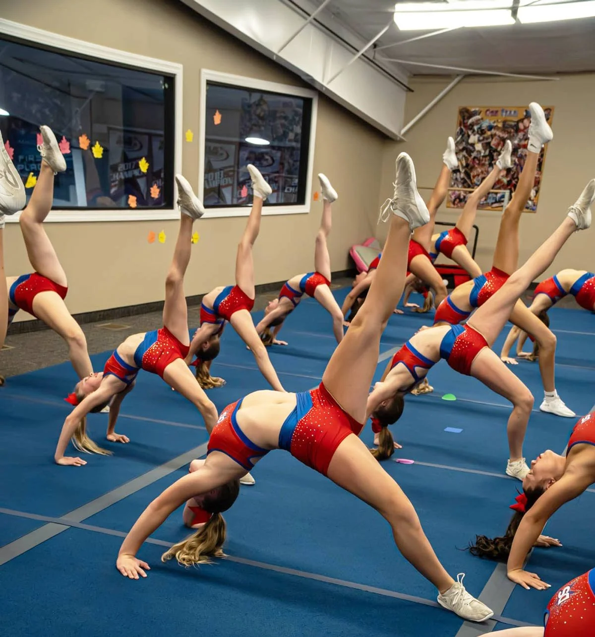 Photo of a viewing area overlooking a spring floor.
