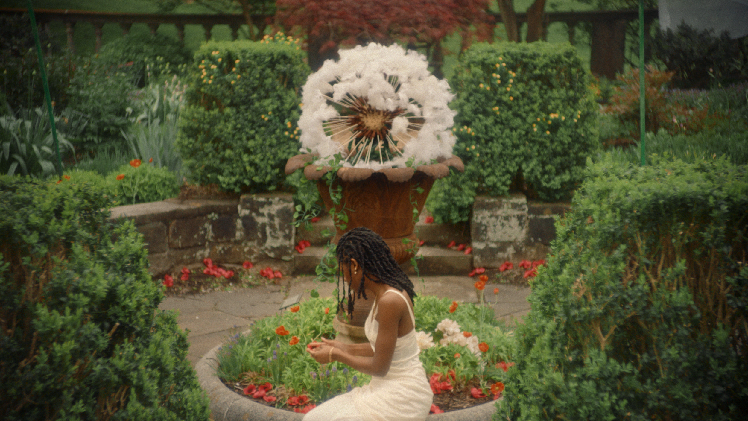 Screen Shot 2024-07-16 at 10.35.03 AM.png