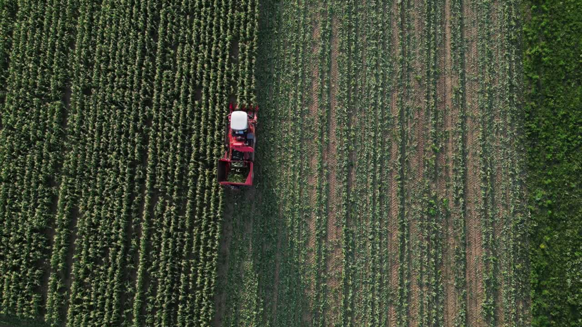 Untitled design (52).png