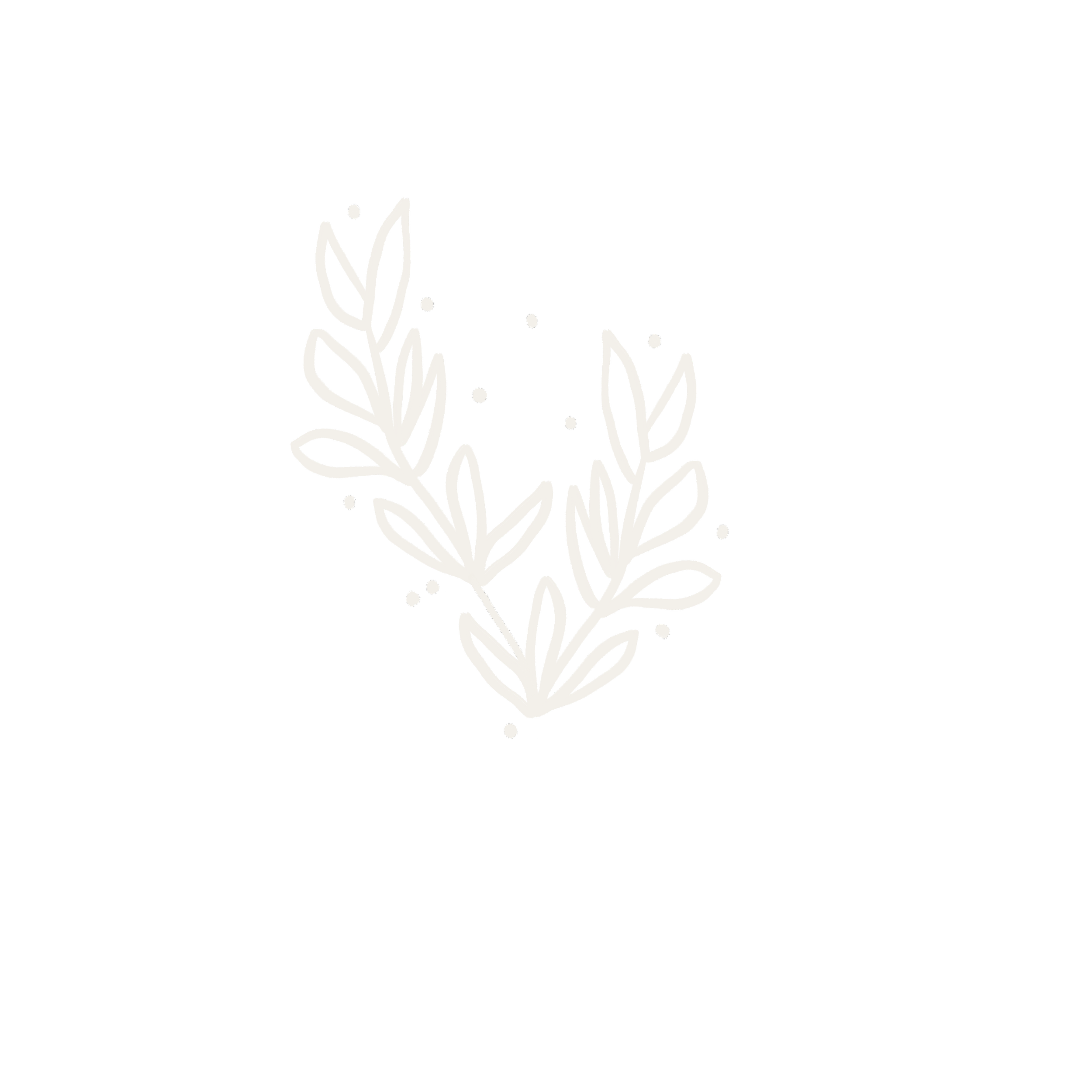 White hand-drawn laurel branch with leaves on a black background.