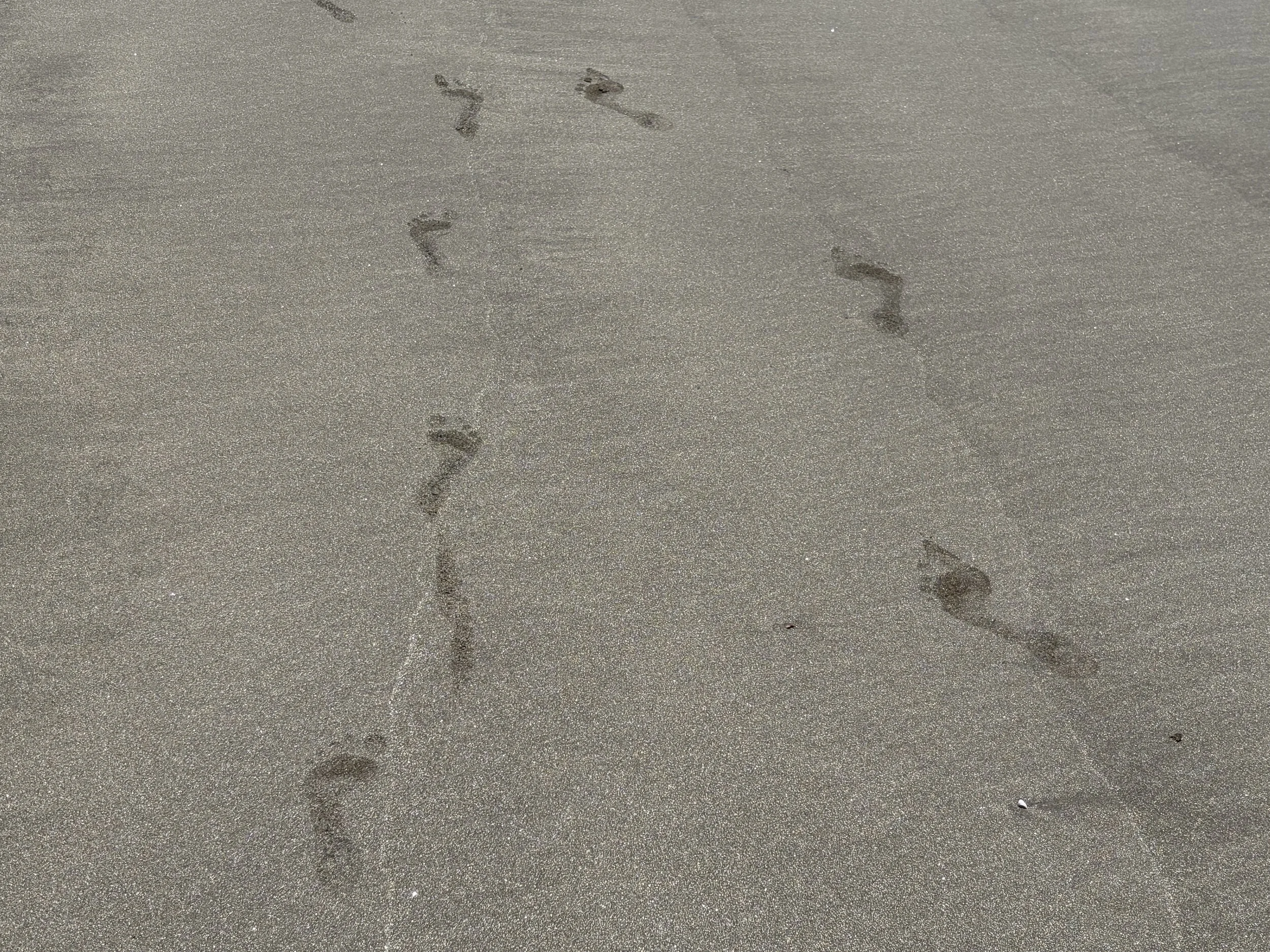 © 2025 Steinlund Communicare