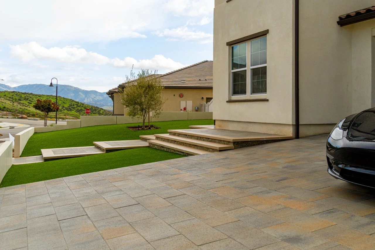 DSC00888-Edit Large.jpeg