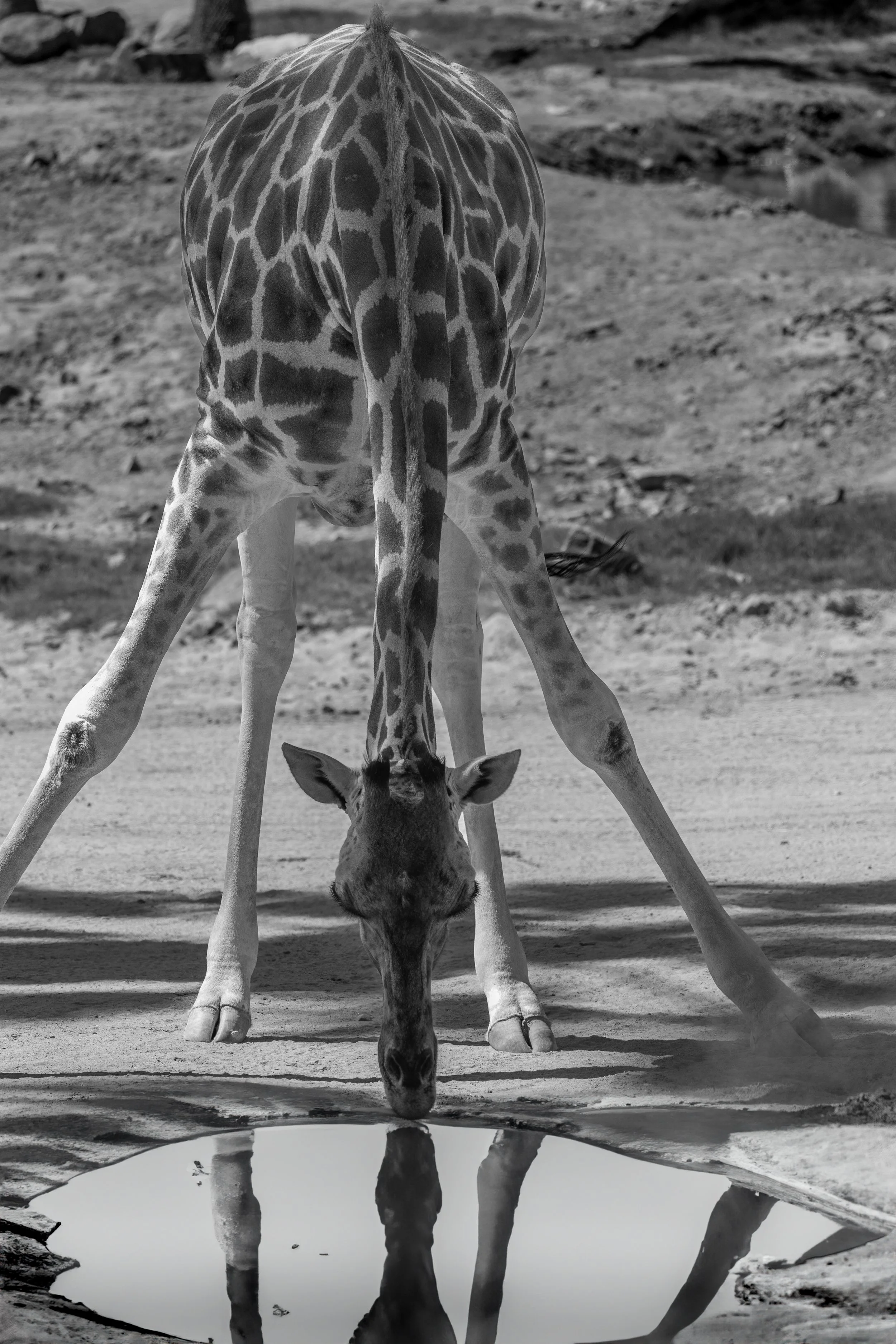 860A0158-Edit copy.jpg