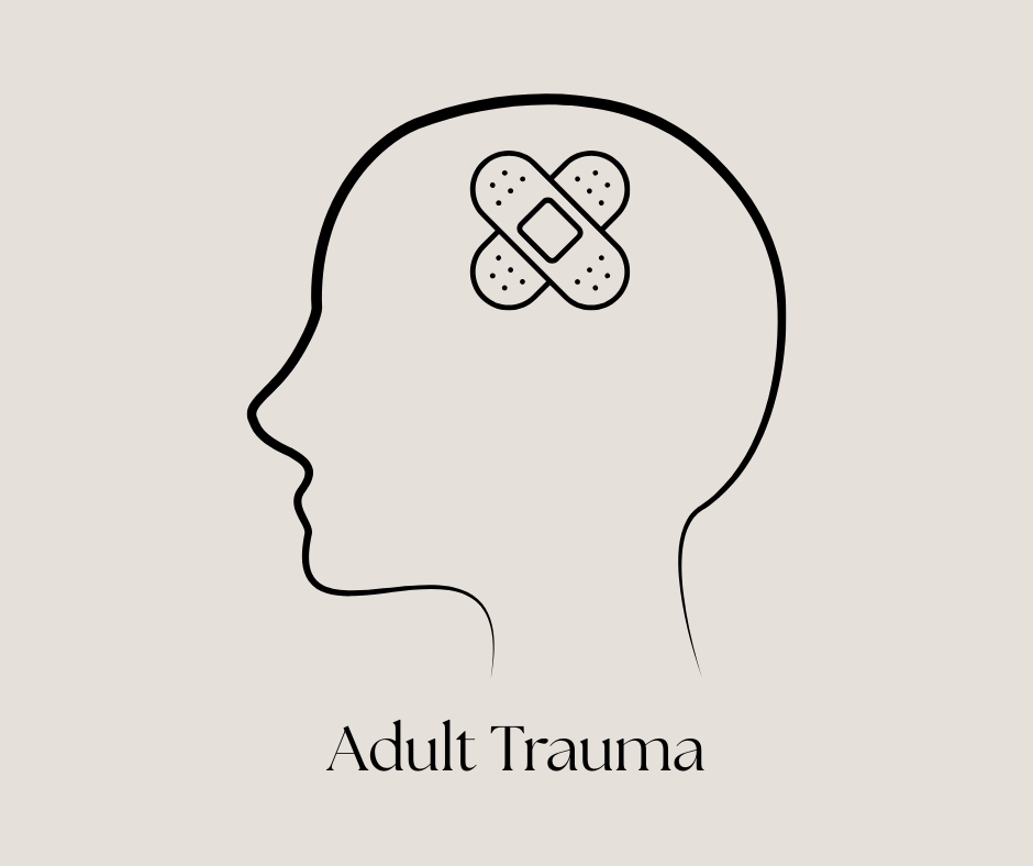 Adverse Childhood Experiences (ACE) Questionnaire