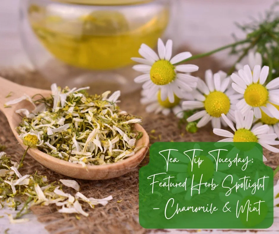 🌿 Tea Tip Tuesday: DIY Tea Blend &ndash; Chamomile + Mint

Create your own soothing tea at home with this simple, calming blend:

☕ Ingredients:

1 tsp dried chamomile

1 tsp dried peppermint

1 tsp dried lemon balm

Steep in hot water for 5 minutes