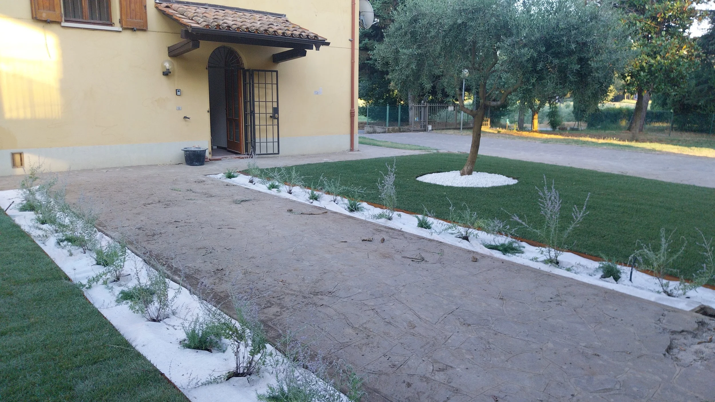 260625-LSem-3.jpeg