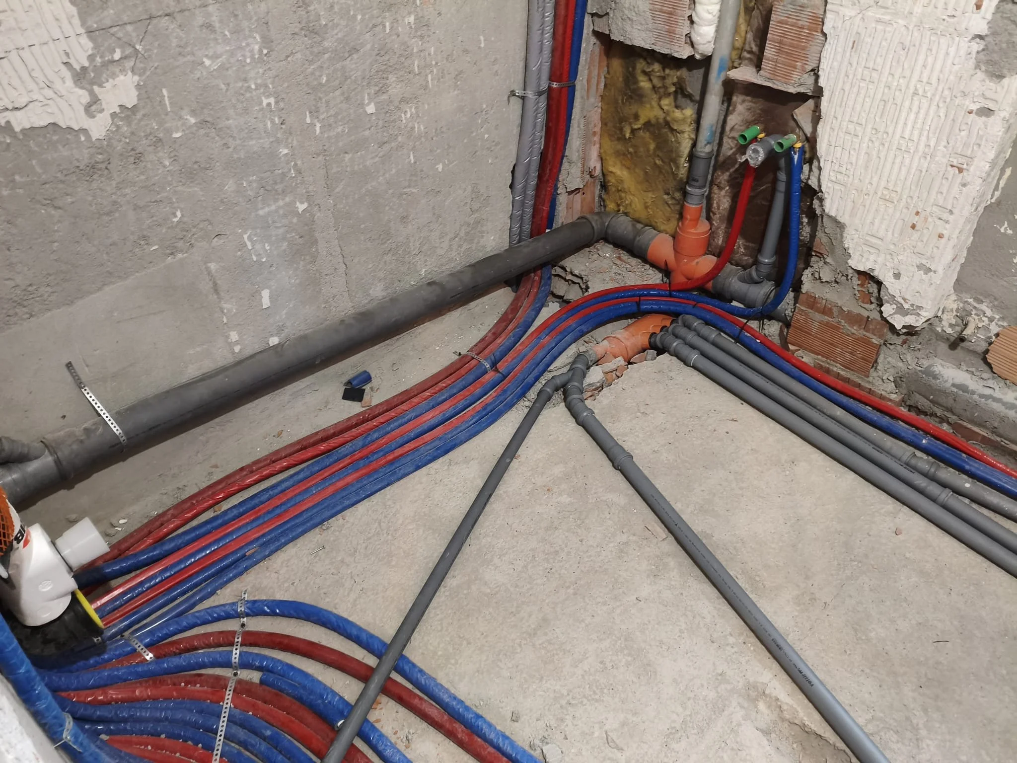 260129-LSem-6.jpeg