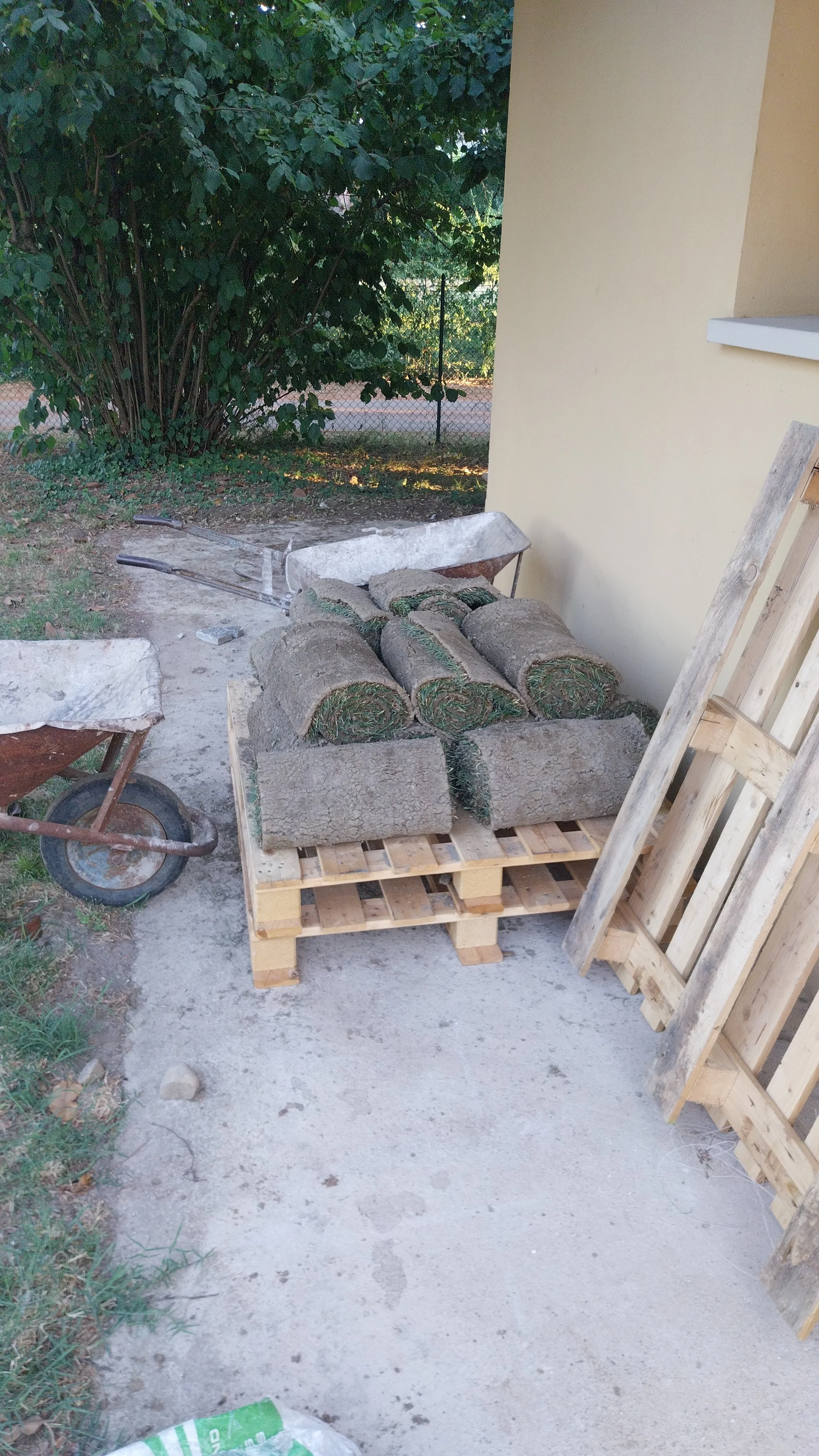 260625-LSem-4.jpeg