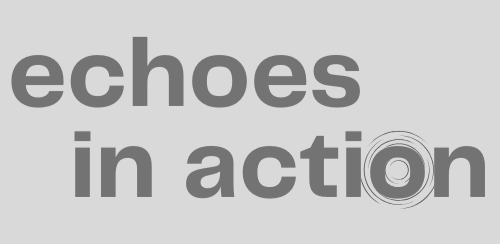 Text reading 'Echoes in action' with a graphic of concentric circles.