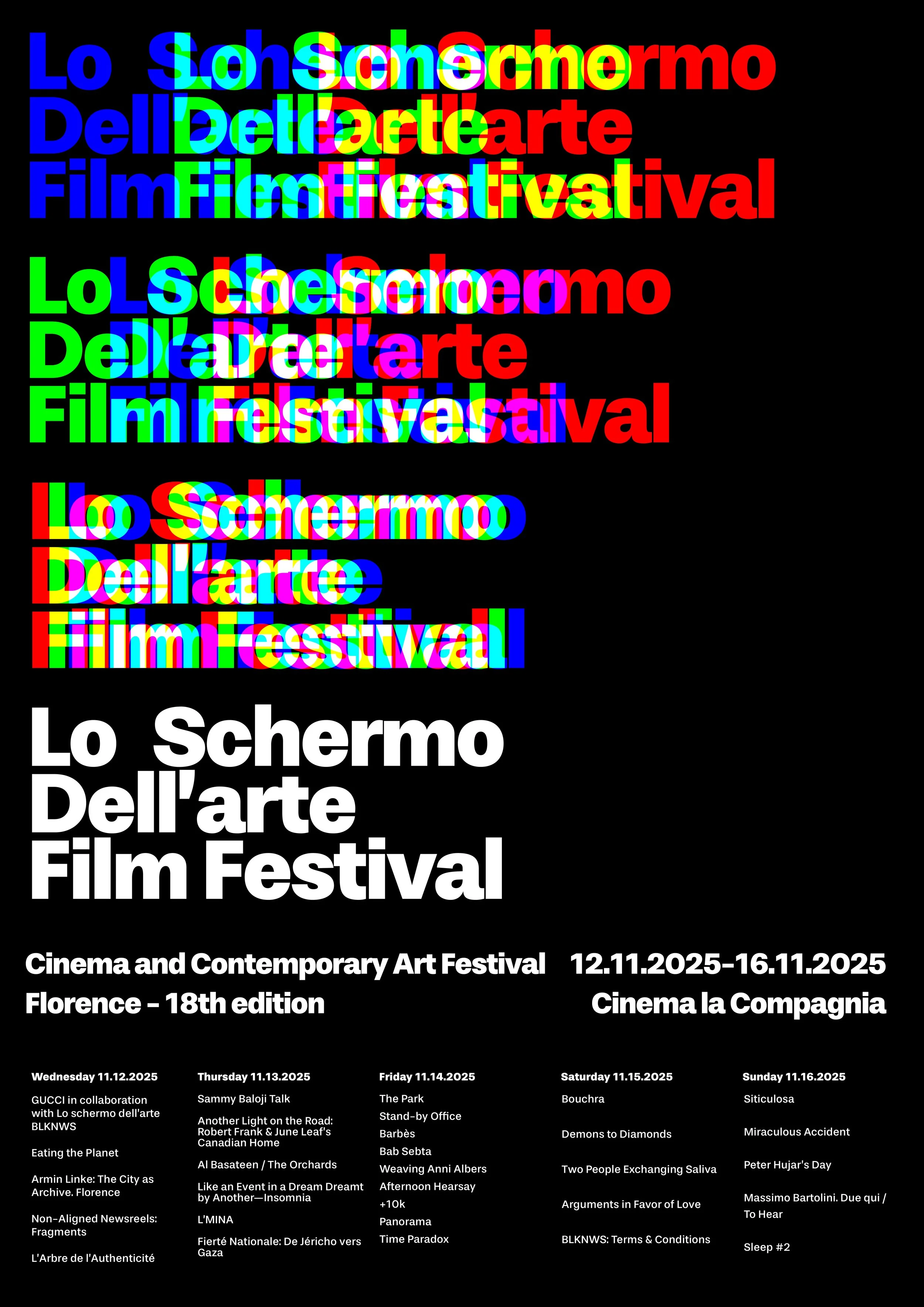 Lian Wasser-Goren_Film fest4.jpg