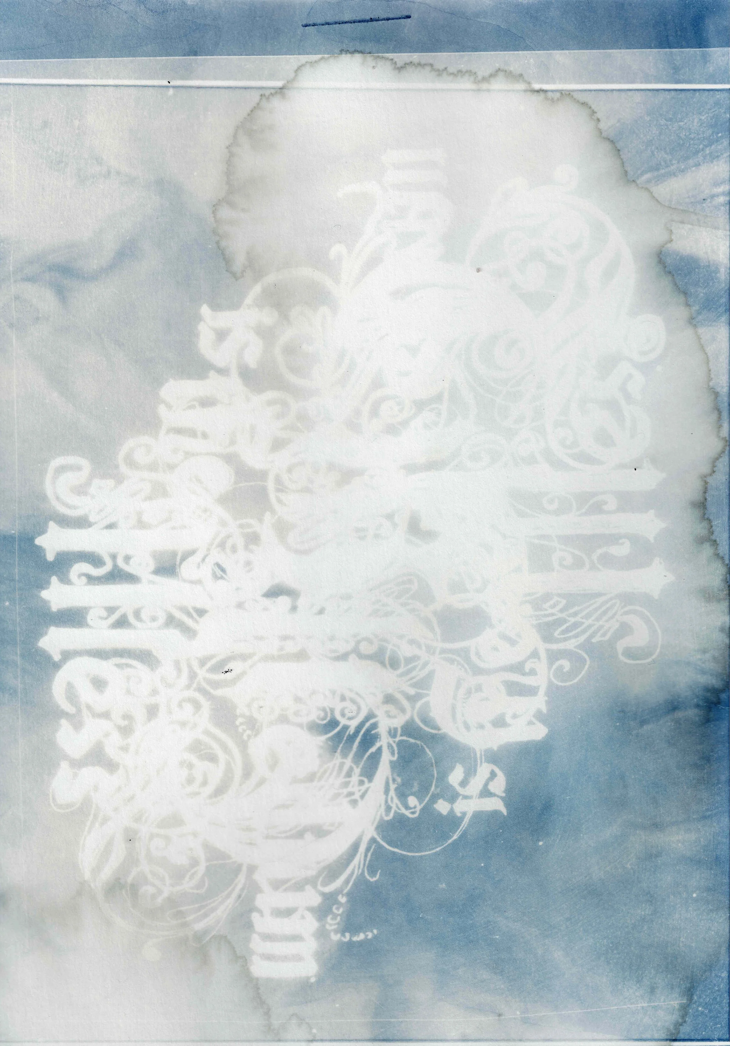 Portfolio-2.jpg