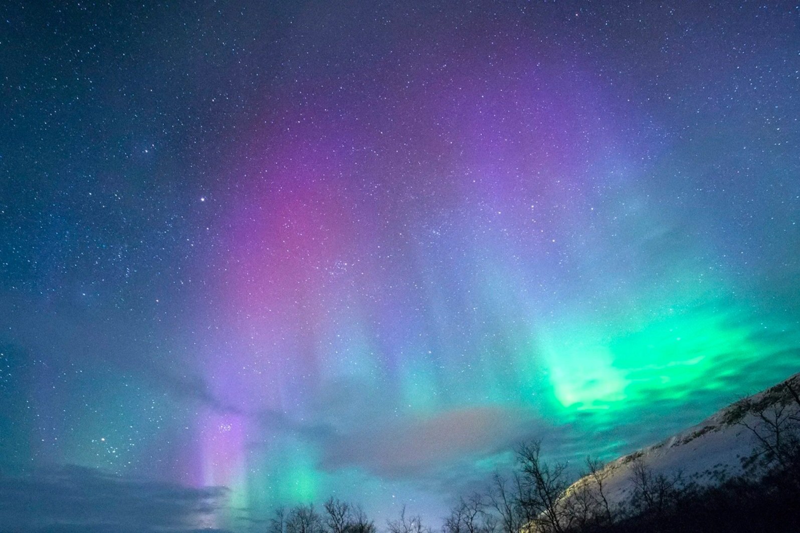 Northern lights (aurora borealis) illuminating a starry night sky over a snow-covered landscape with leafless trees.