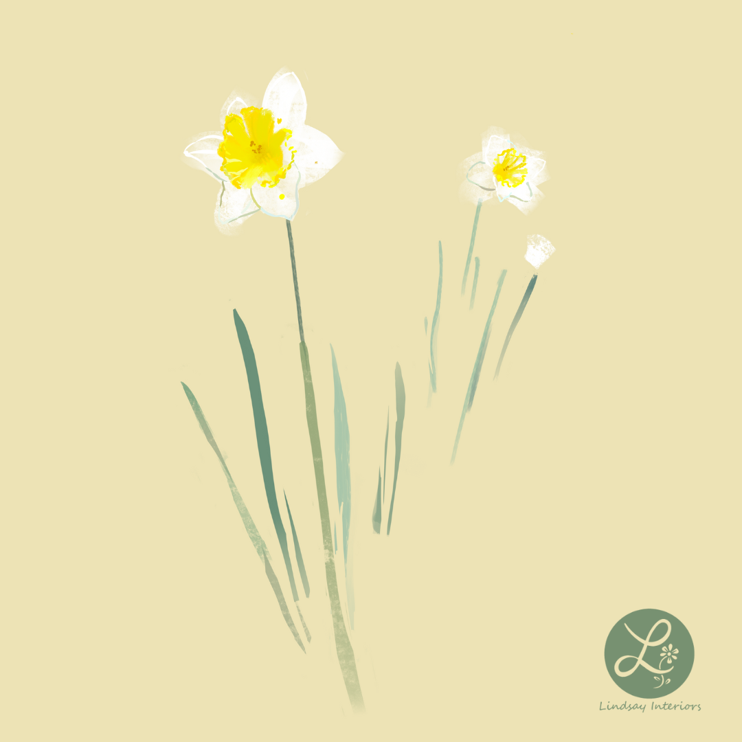 daffodil_three.png