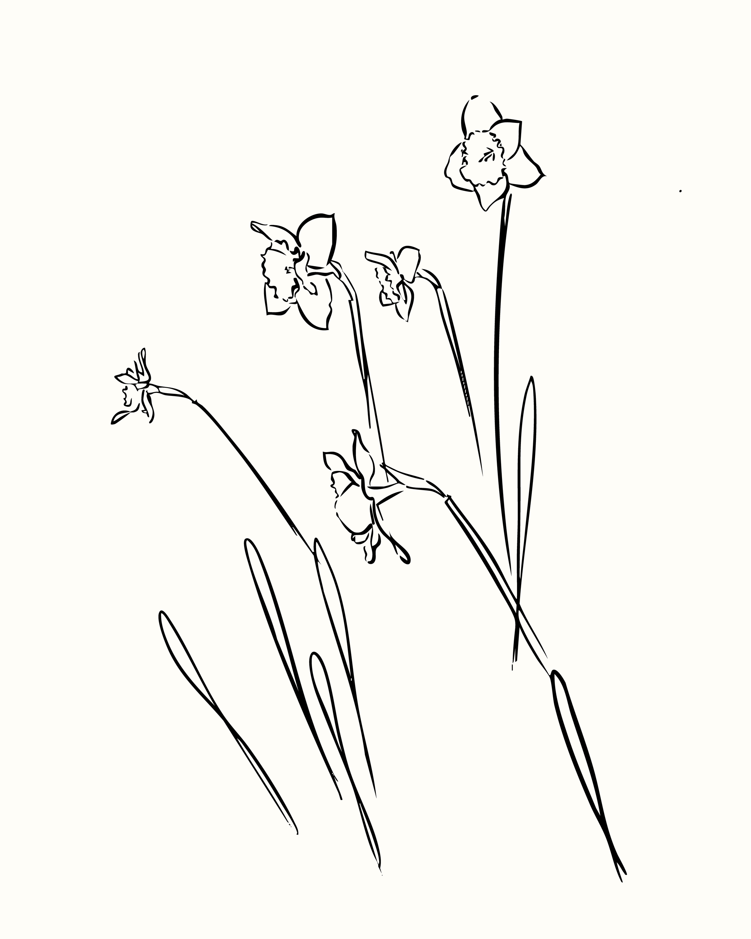 25_floral_black_line-06 (2).png