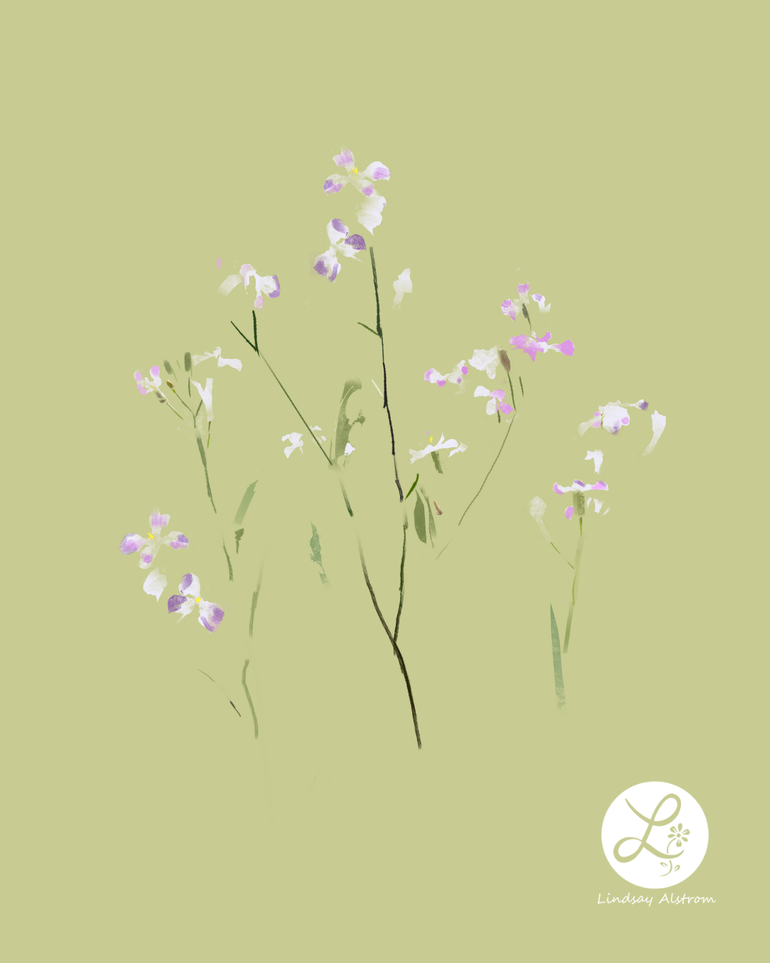 25-pink-wild-arugula-floral-illustration-by-lindsay-alstrom-logo-p.png