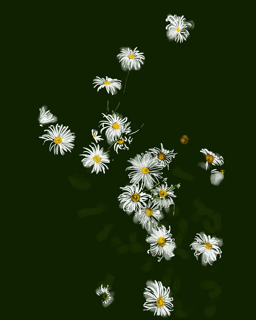 Black_Daisy_Michelle (2).jpg