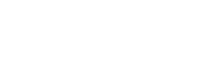 01-nascar.png