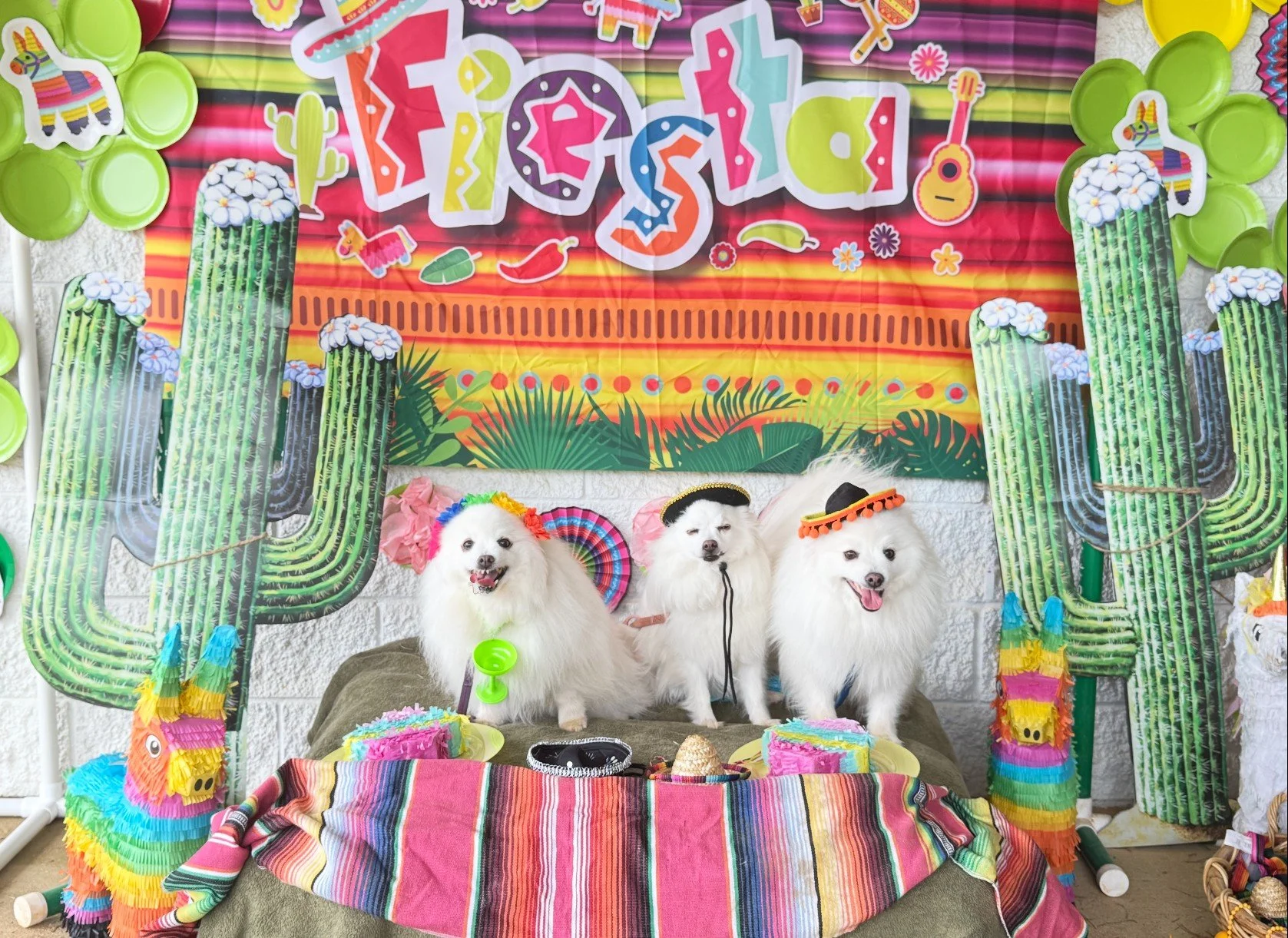 Festive de Mayo