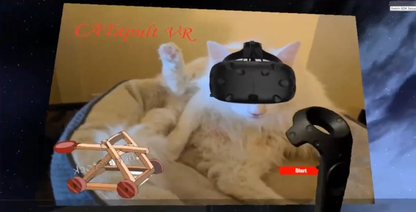 CATapult VR