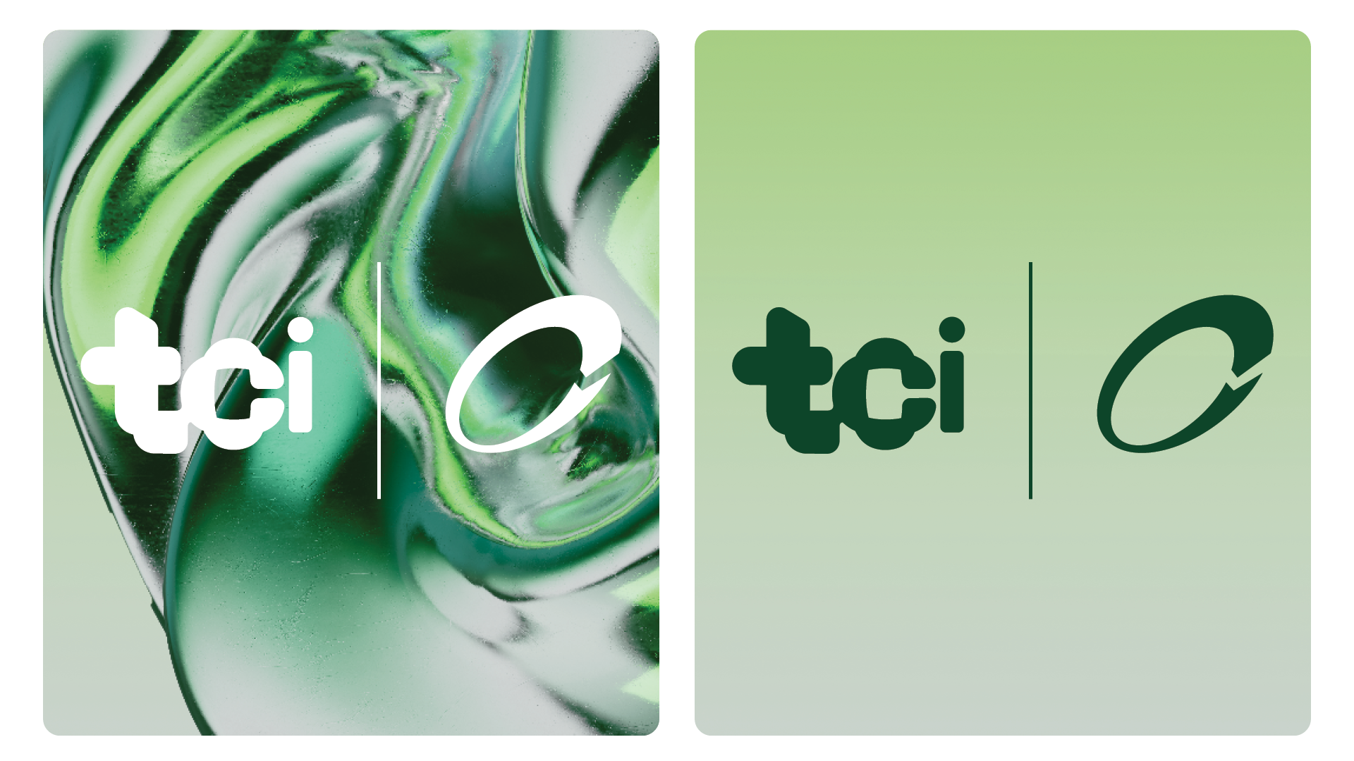 TCI REPORT2.png
