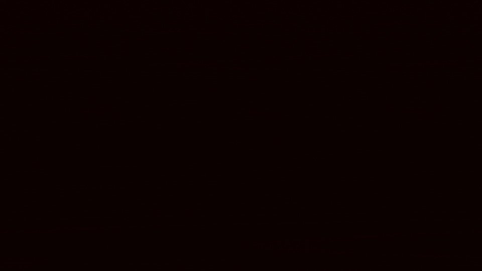 _VOIS LIGHT BLADES.gif