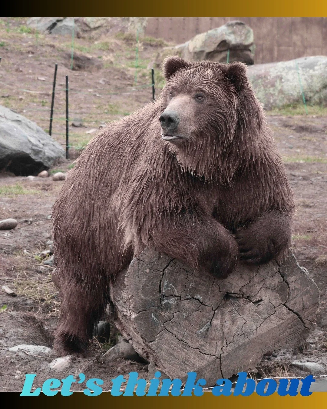 Let's think about.....