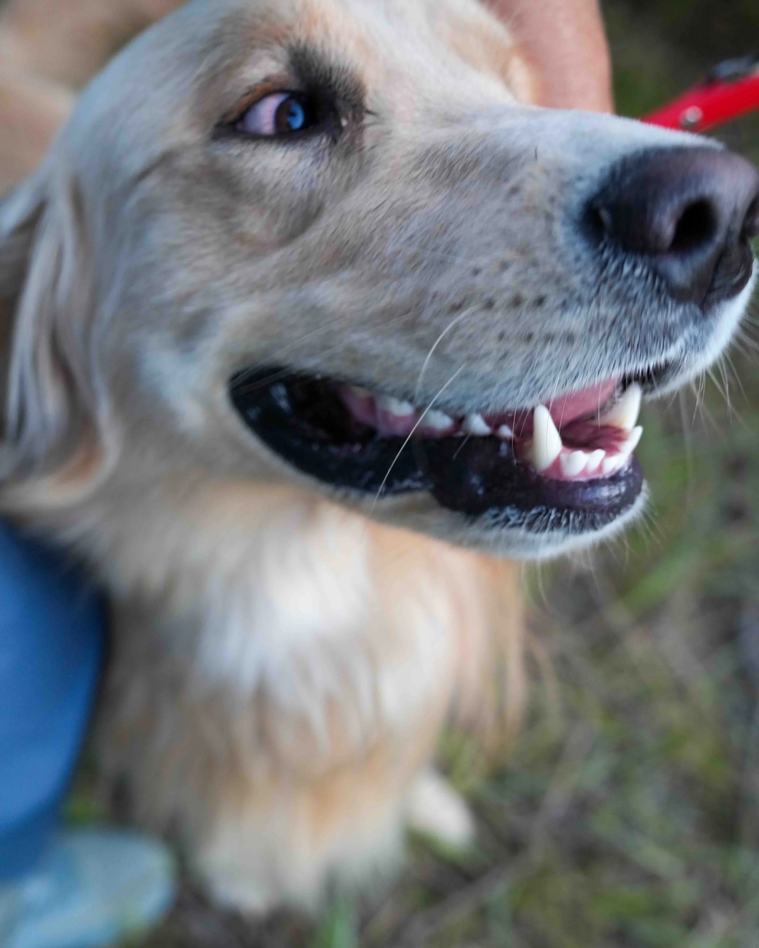 Ian T Senior (658).jpg