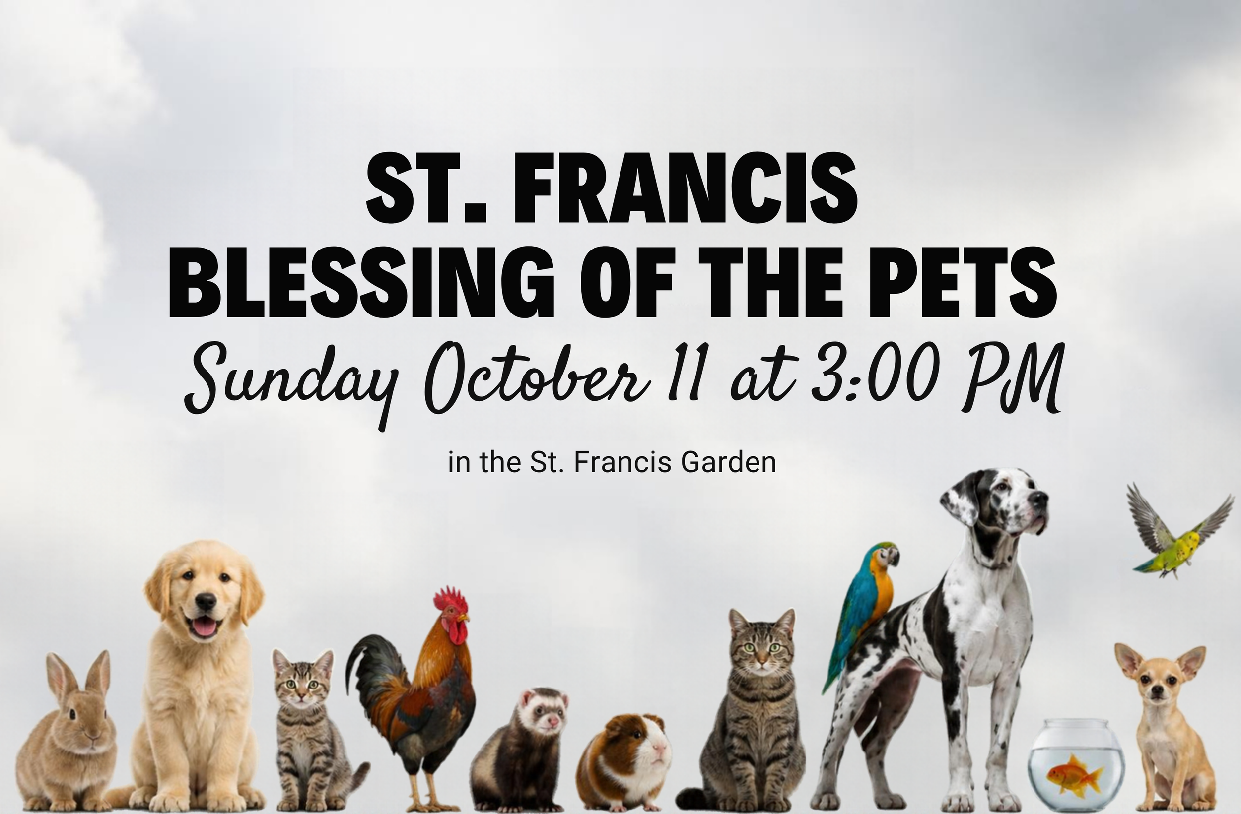 Pet blessing.png