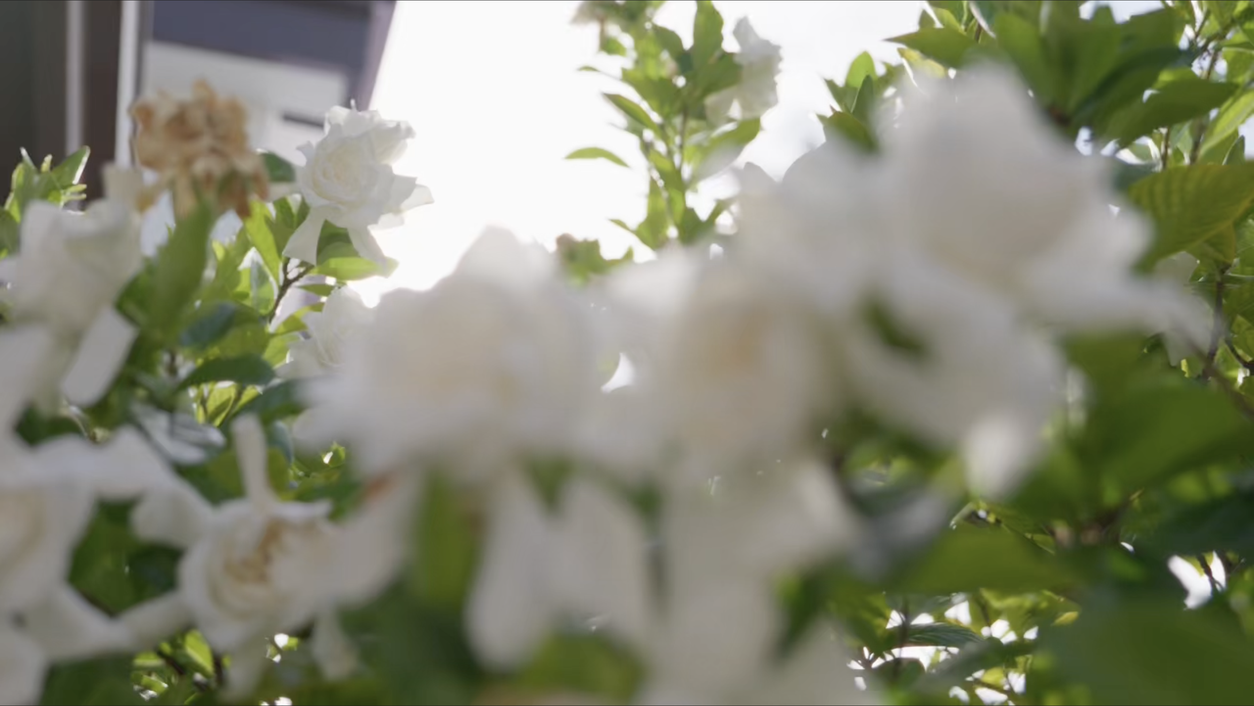 Screenshot 2026-03-18 at 9.06.13 AM.png