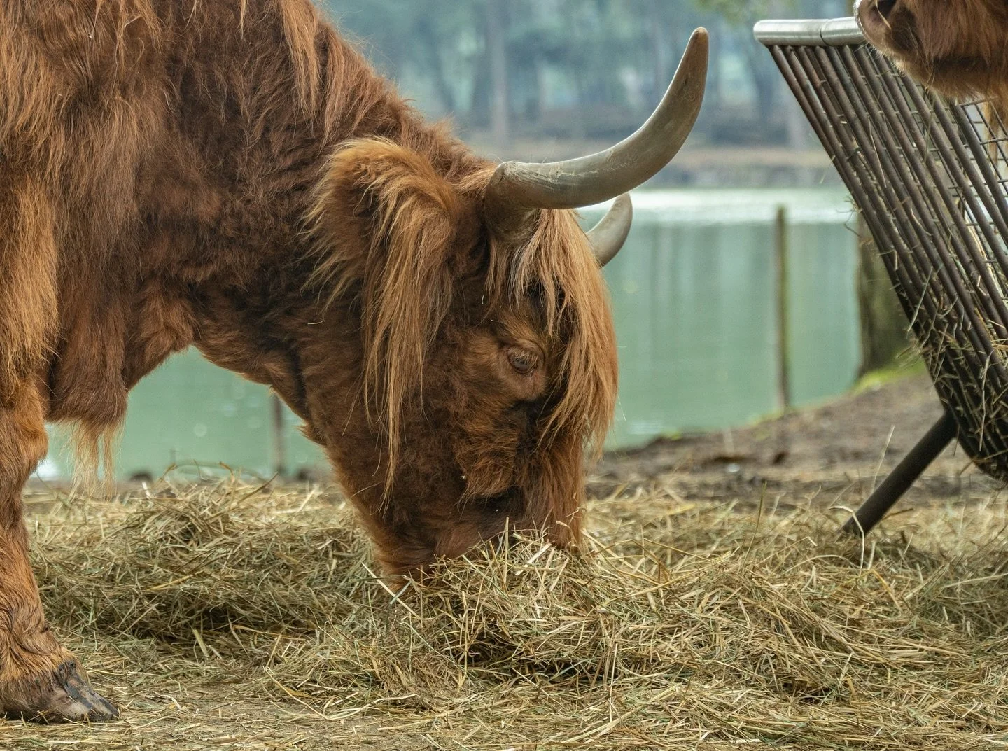 Taking a walk on the wild side.