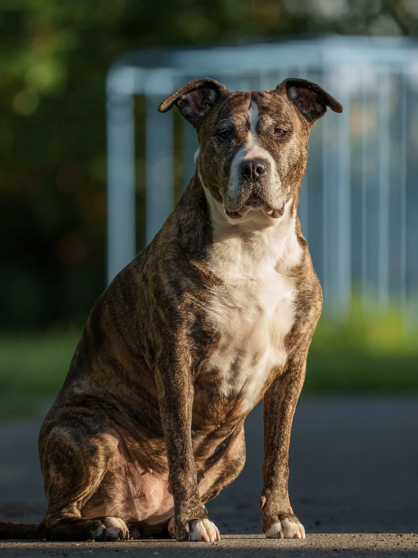 A little sun, a lot of soul.