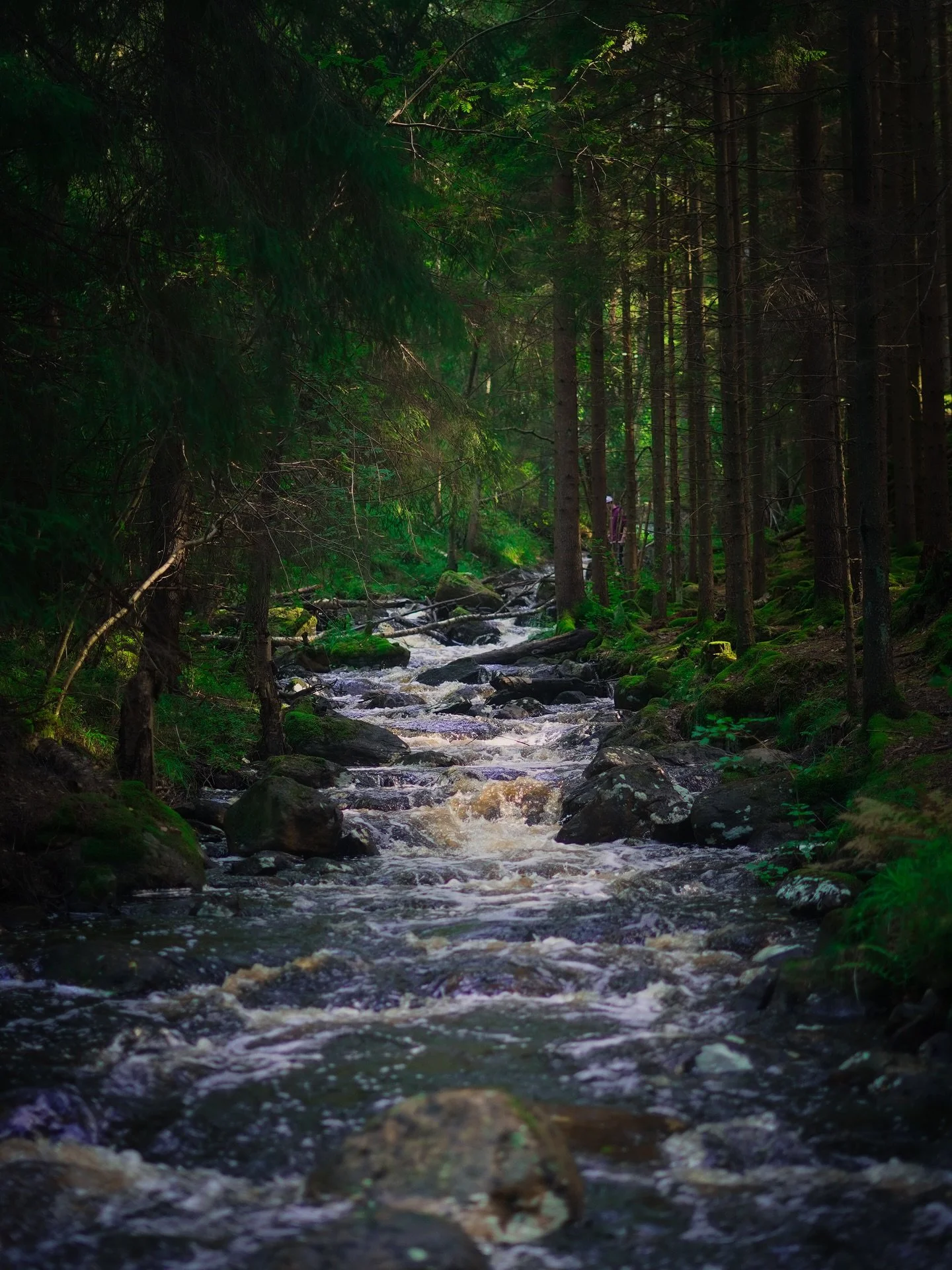 Nature never goes out of style.