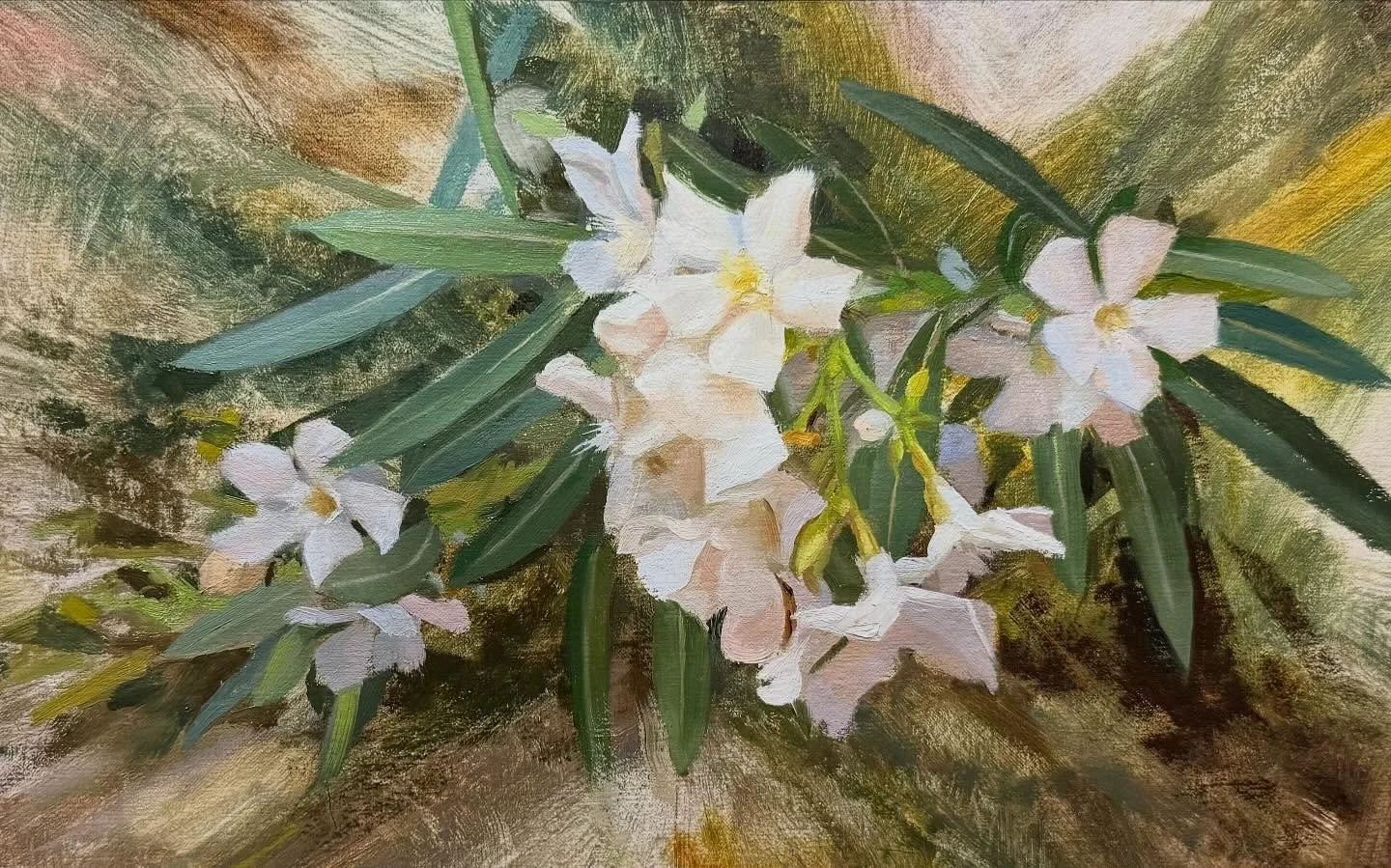 Oleanders -  Every year I walk past these beautiful flowers in St George Utah. I feel really happy with how this turned out. I hope you all enjoy it too!
#stilllife #flowers #flowerpaintings #flowerpainter #oilpaintingartist #oilpainting
