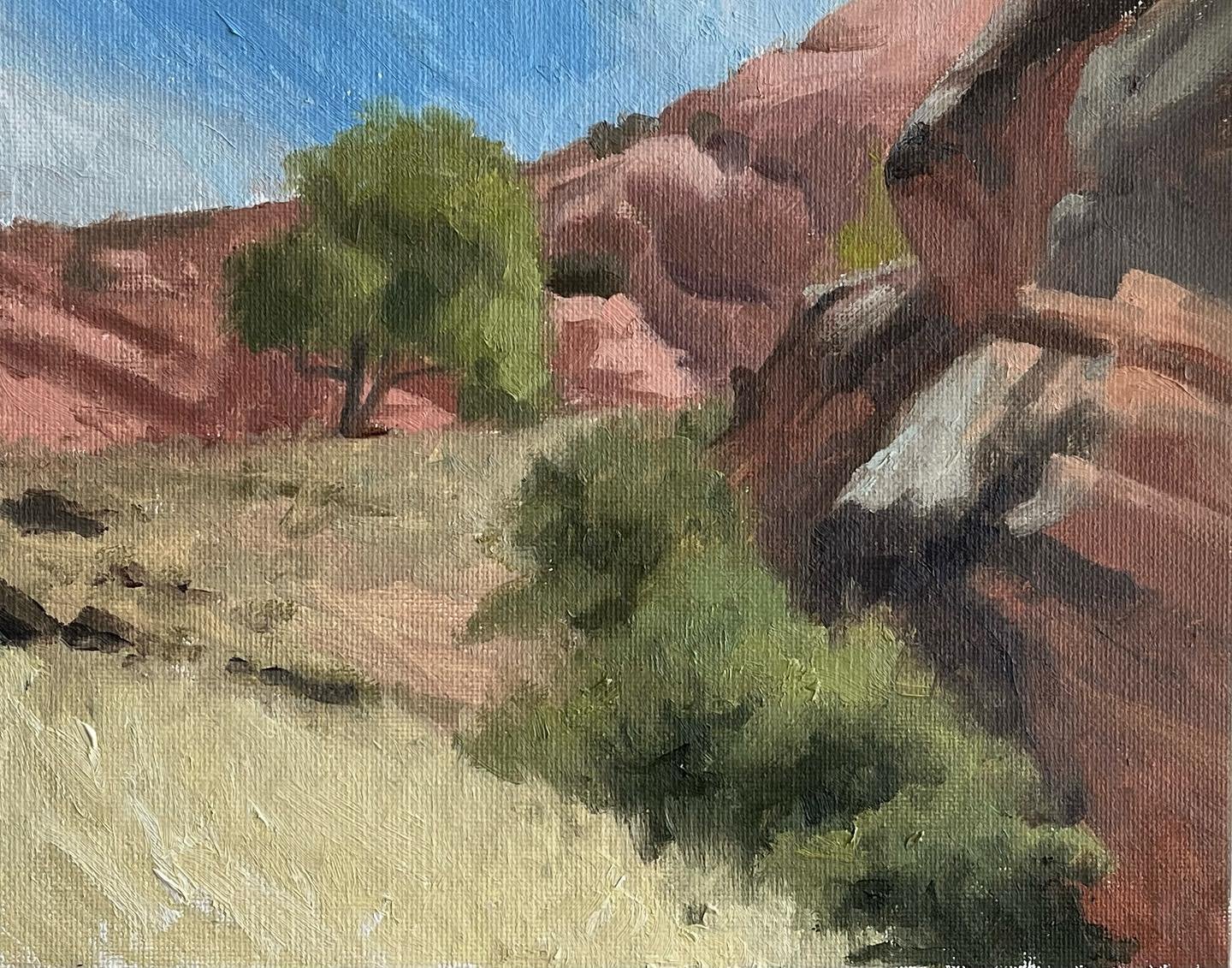 Plein Air at Snow Canyon

#pleinair #pleinairpainting #redrocks #utahpainters #utahpainting