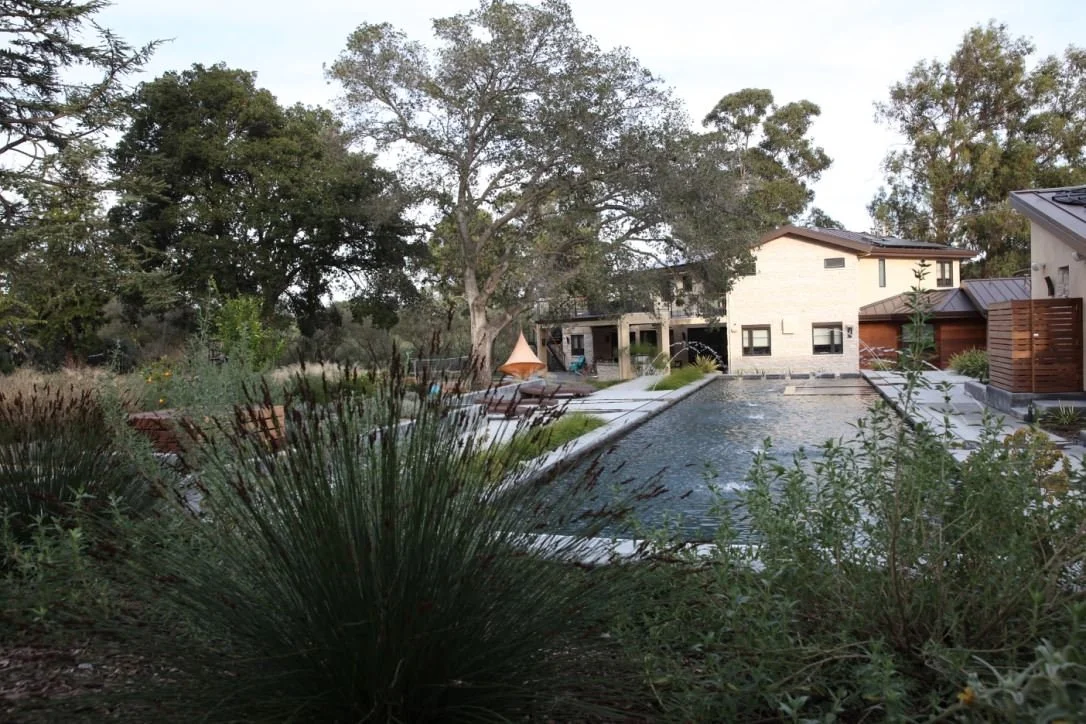 Palo Alto Contemporary Retreat