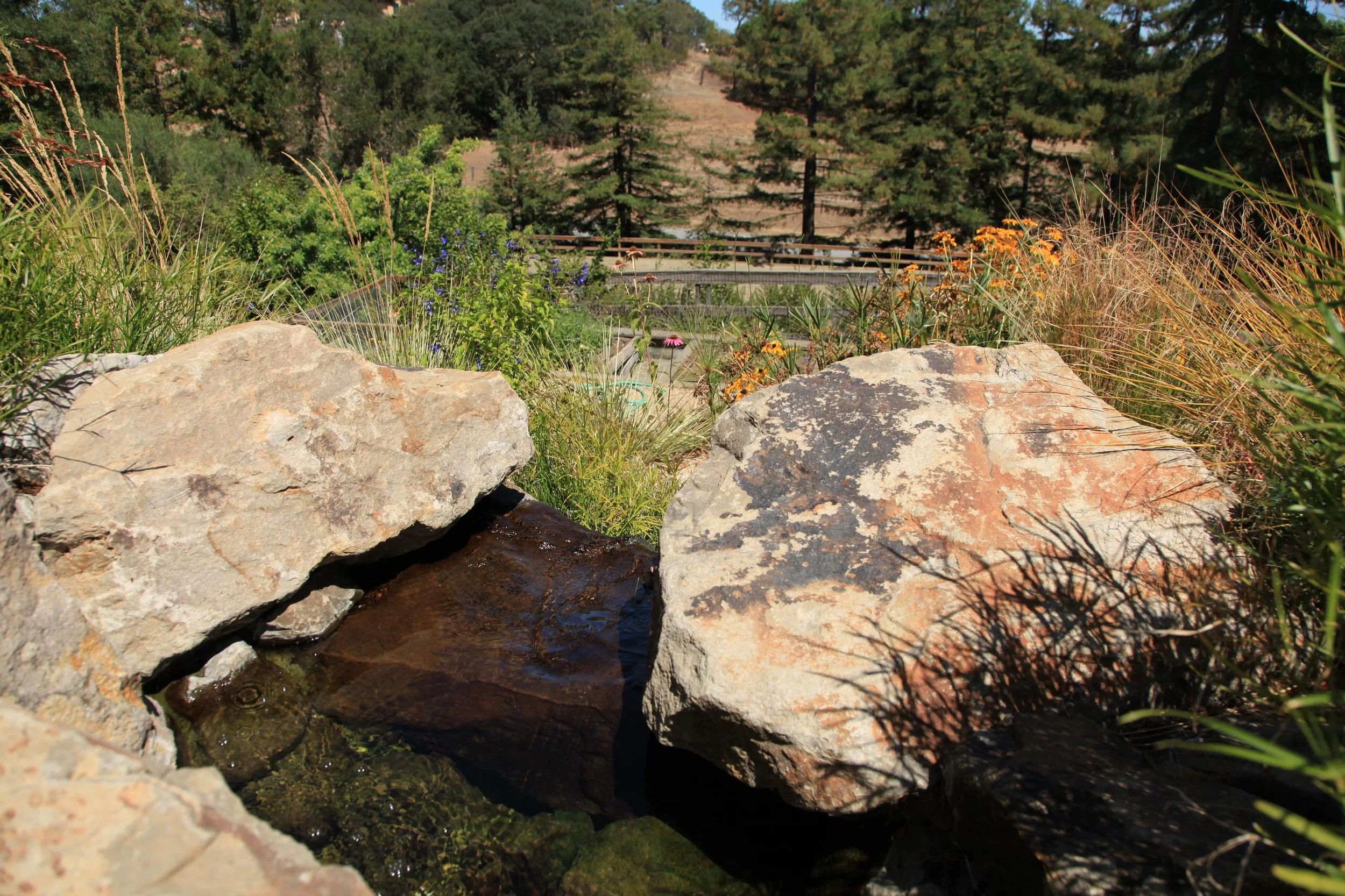 garden-route-portola-valley-ranch-landscape-012.jpg