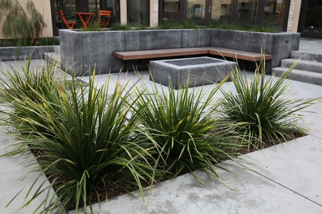 Palo Alto Contemporary Retreat