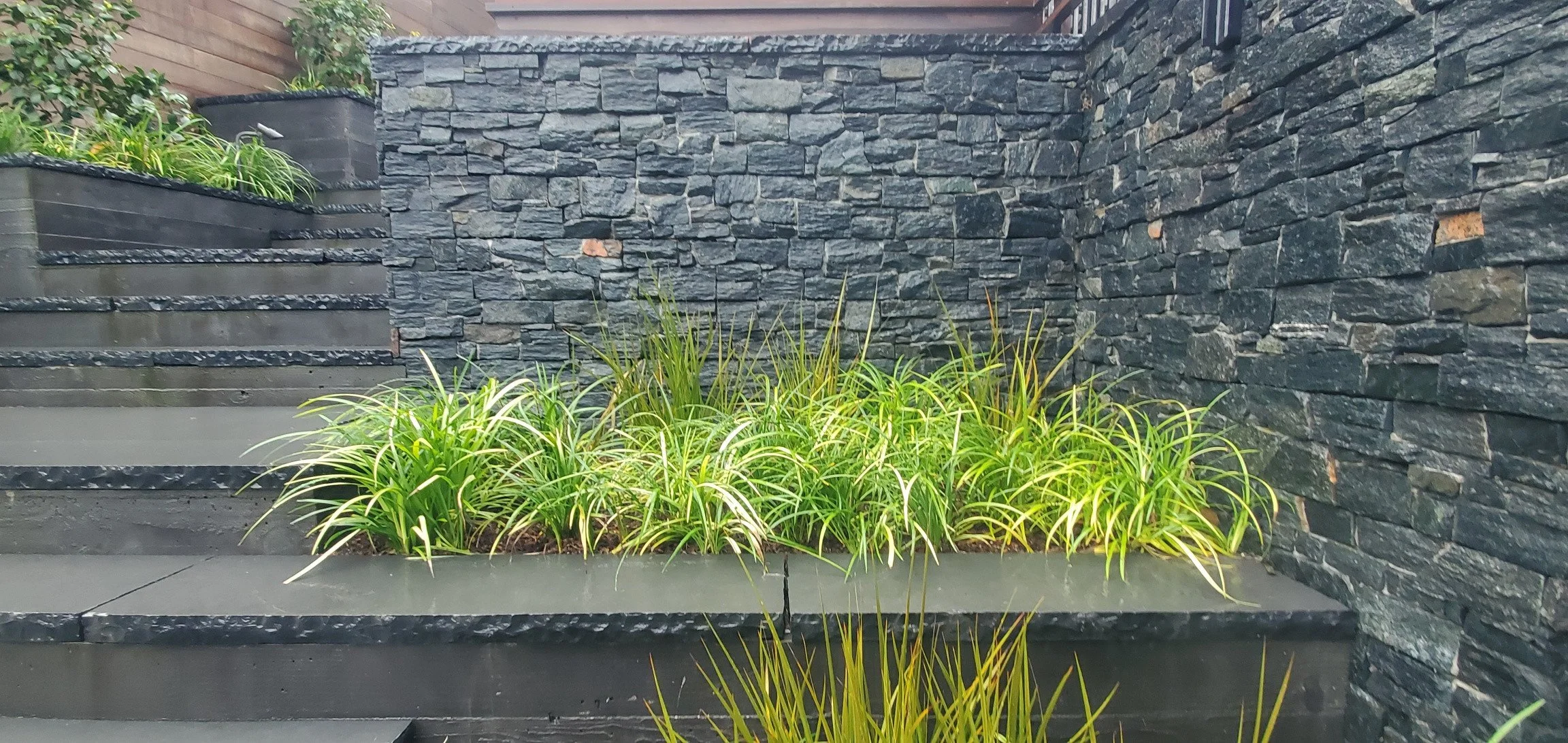 Outdoor modern garden with stone steps, black stone walls, and green plants.