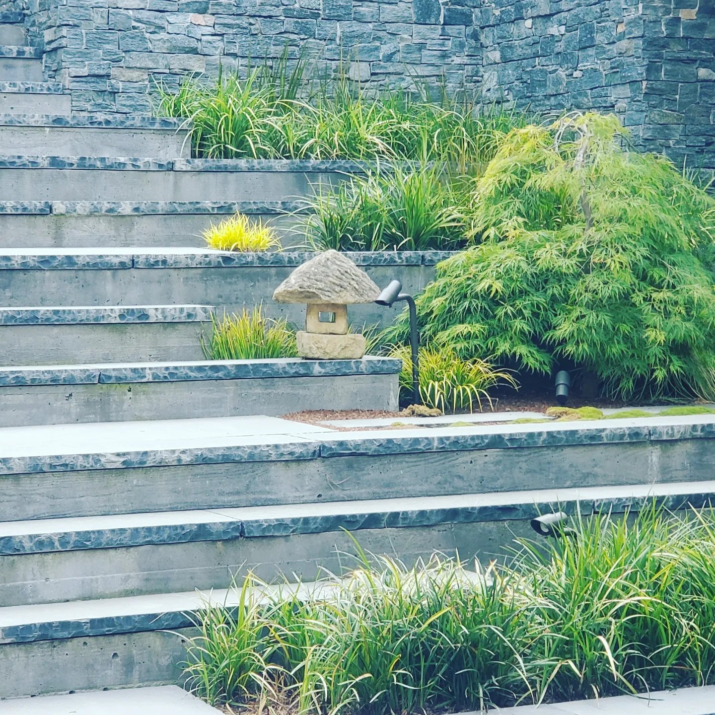Stone steps leading up to a landscaped garden with green plants, a small stone lantern, and a wooden wall in the background.