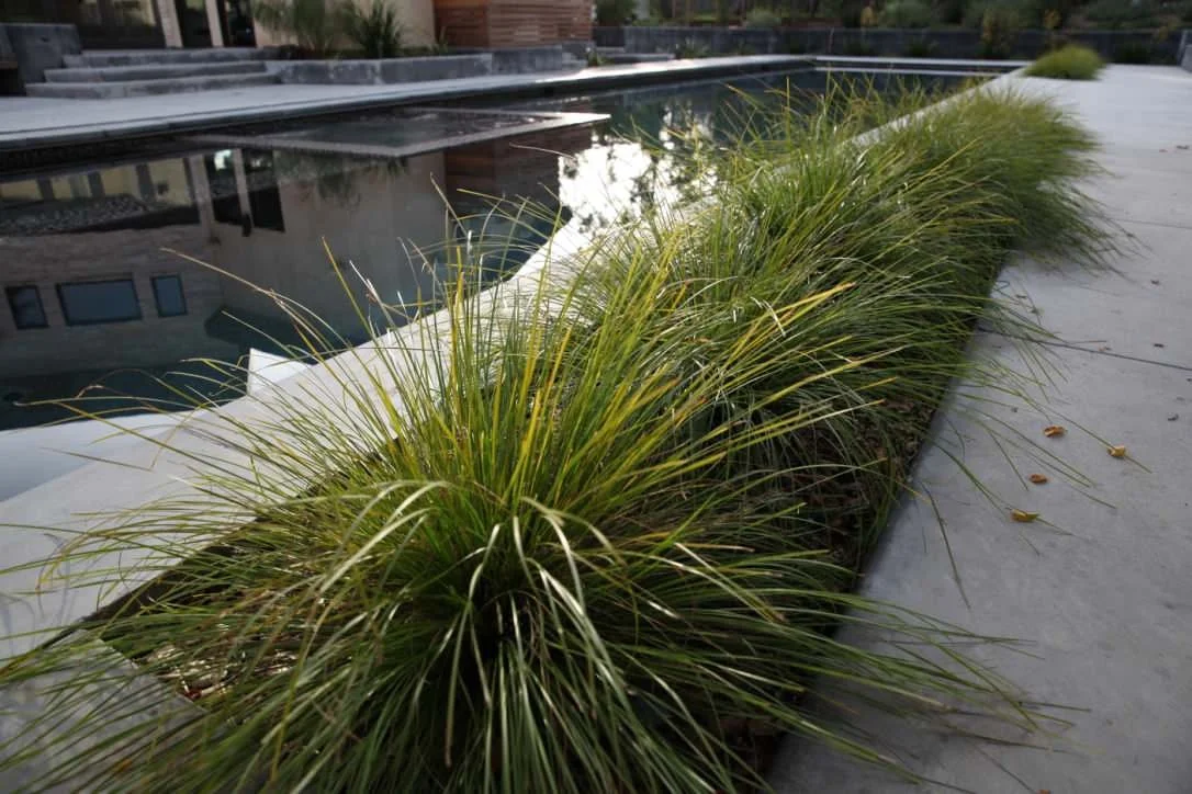 Palo Alto Contemporary Retreat