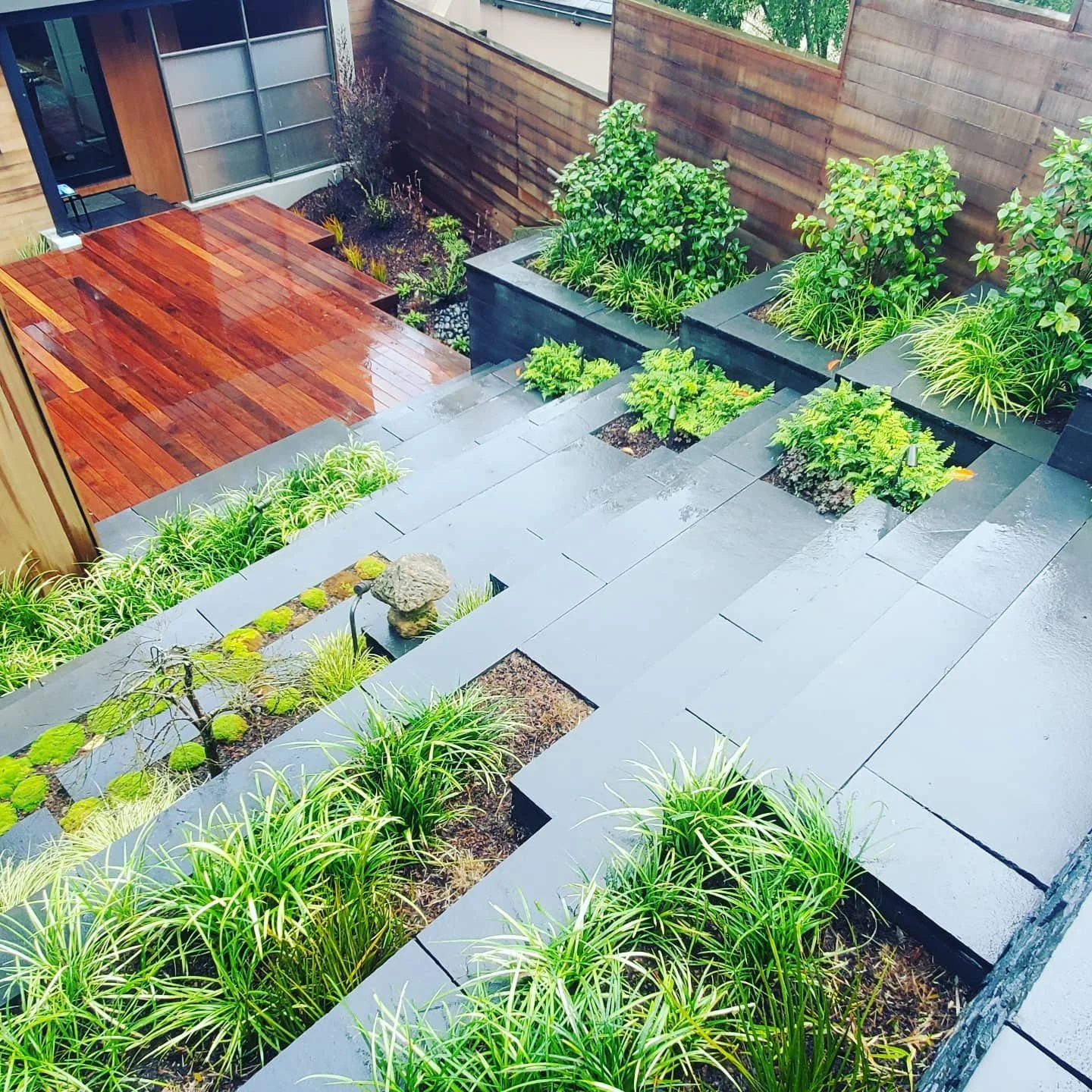 Rain-soaked modern backyard patio with wooden deck and gray stone steps bordered by lush green plants and shrubs, enclosed by a wooden fence.
