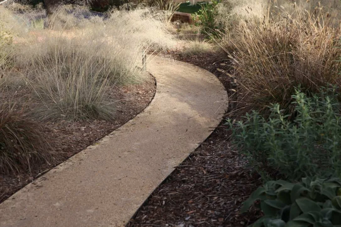 Palo Alto Contemporary Retreat