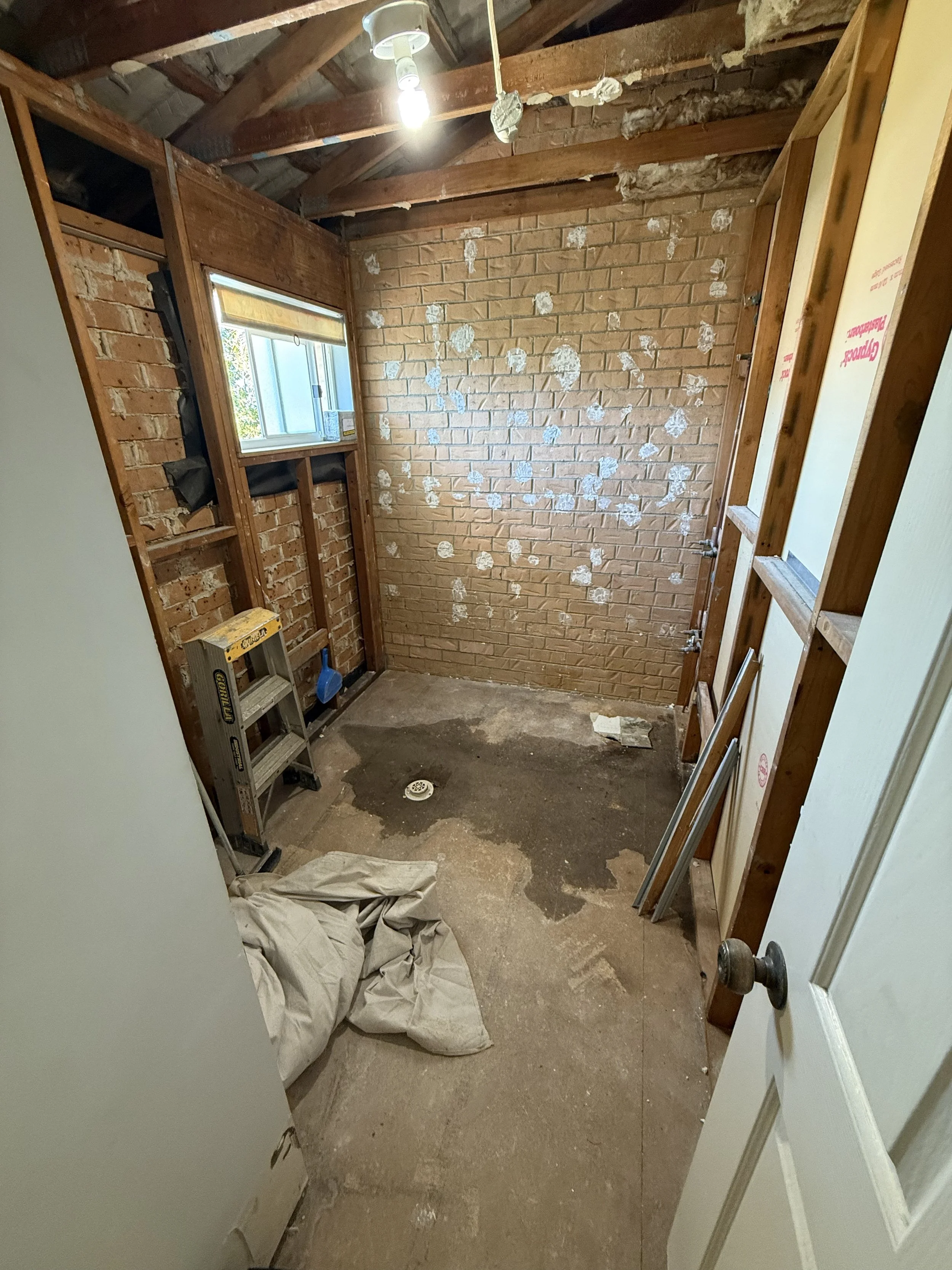 Bathroom Demolition